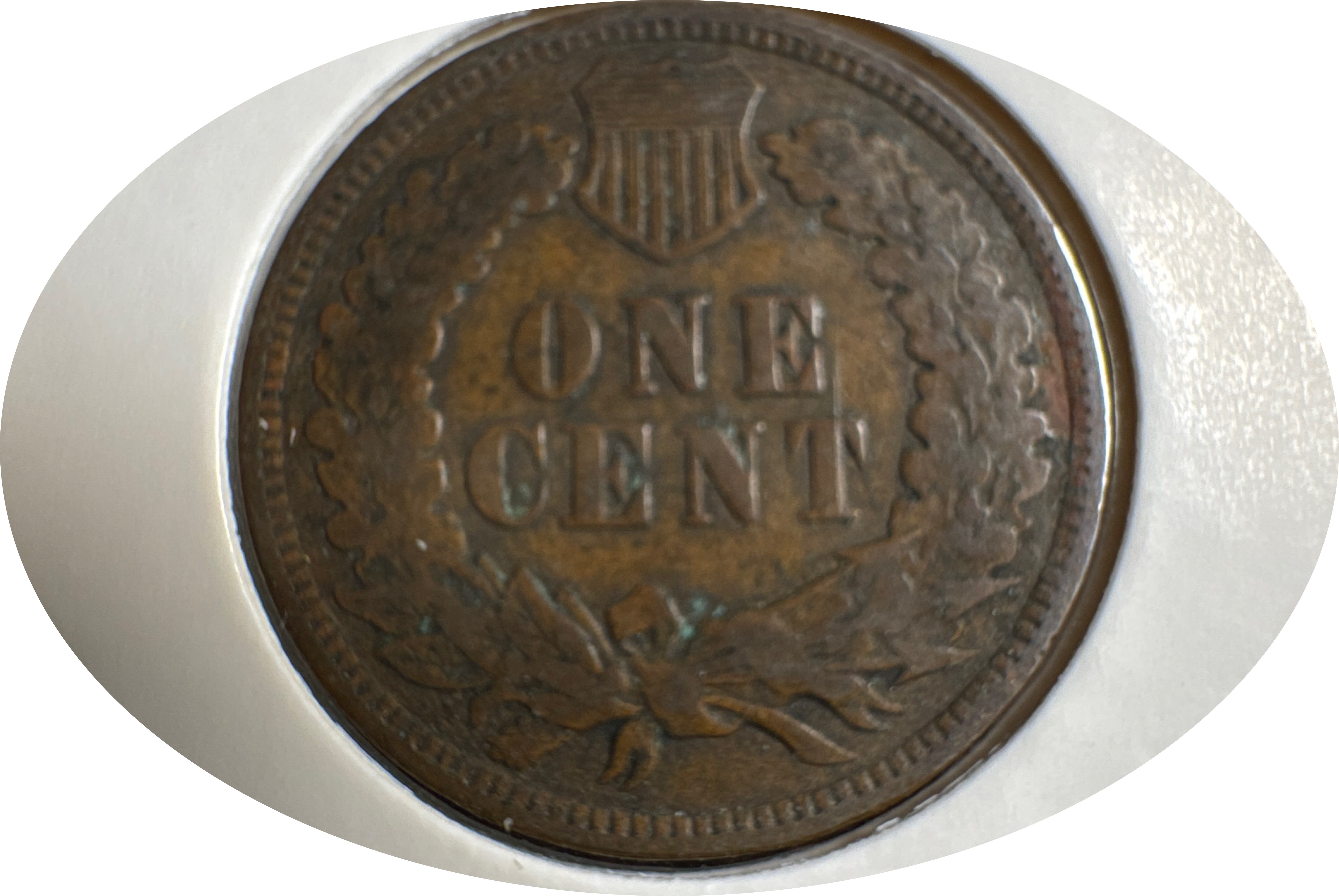 1906-P Indian Head Cent Ungraded — back
