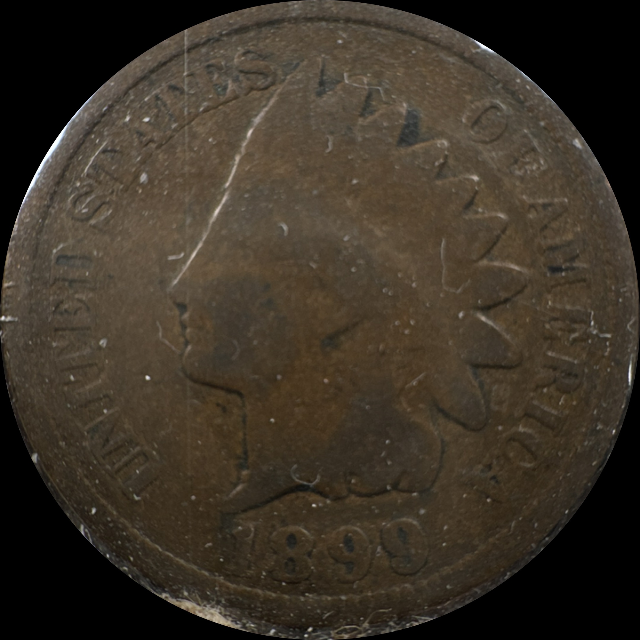 1899-P Indian Head Cent Ungraded