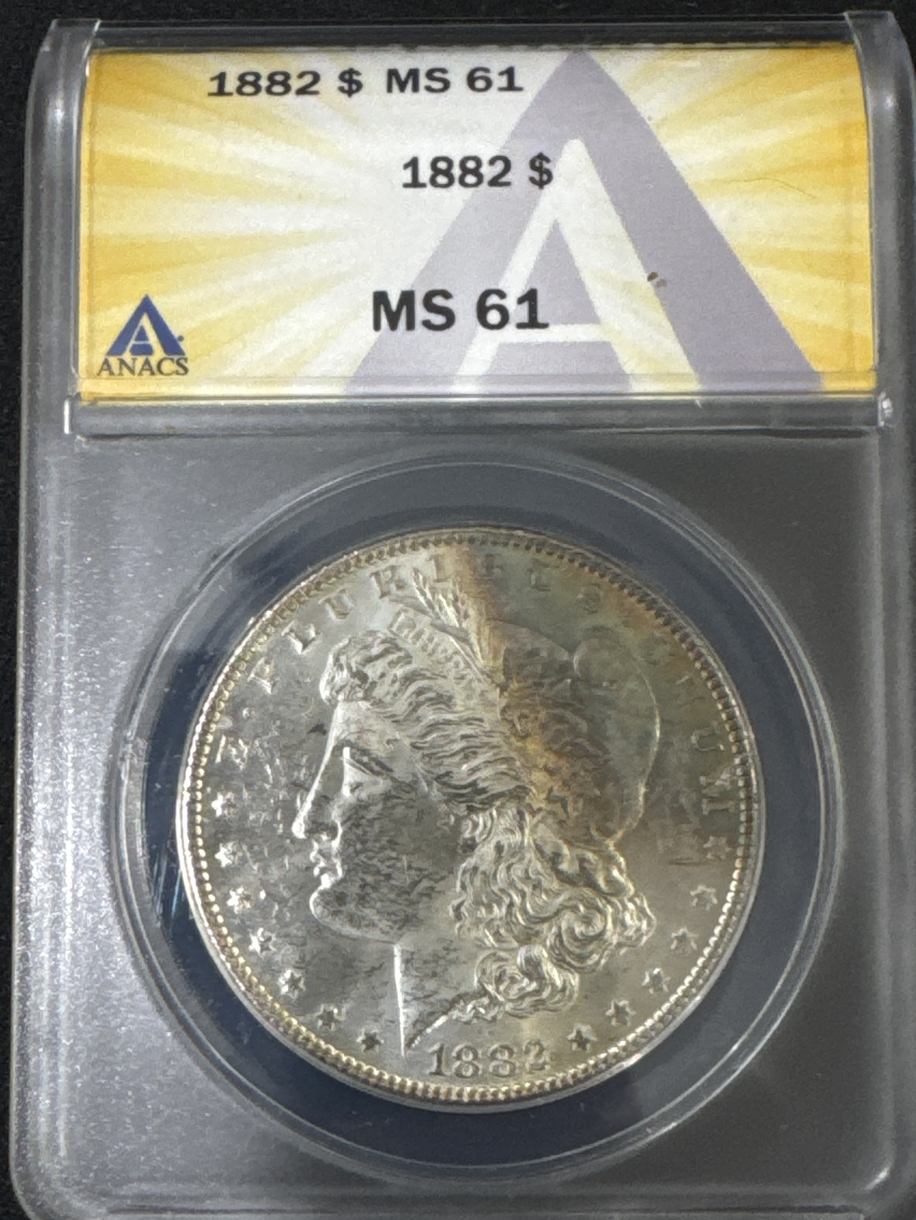 1882-P Morgan Dollar MS61