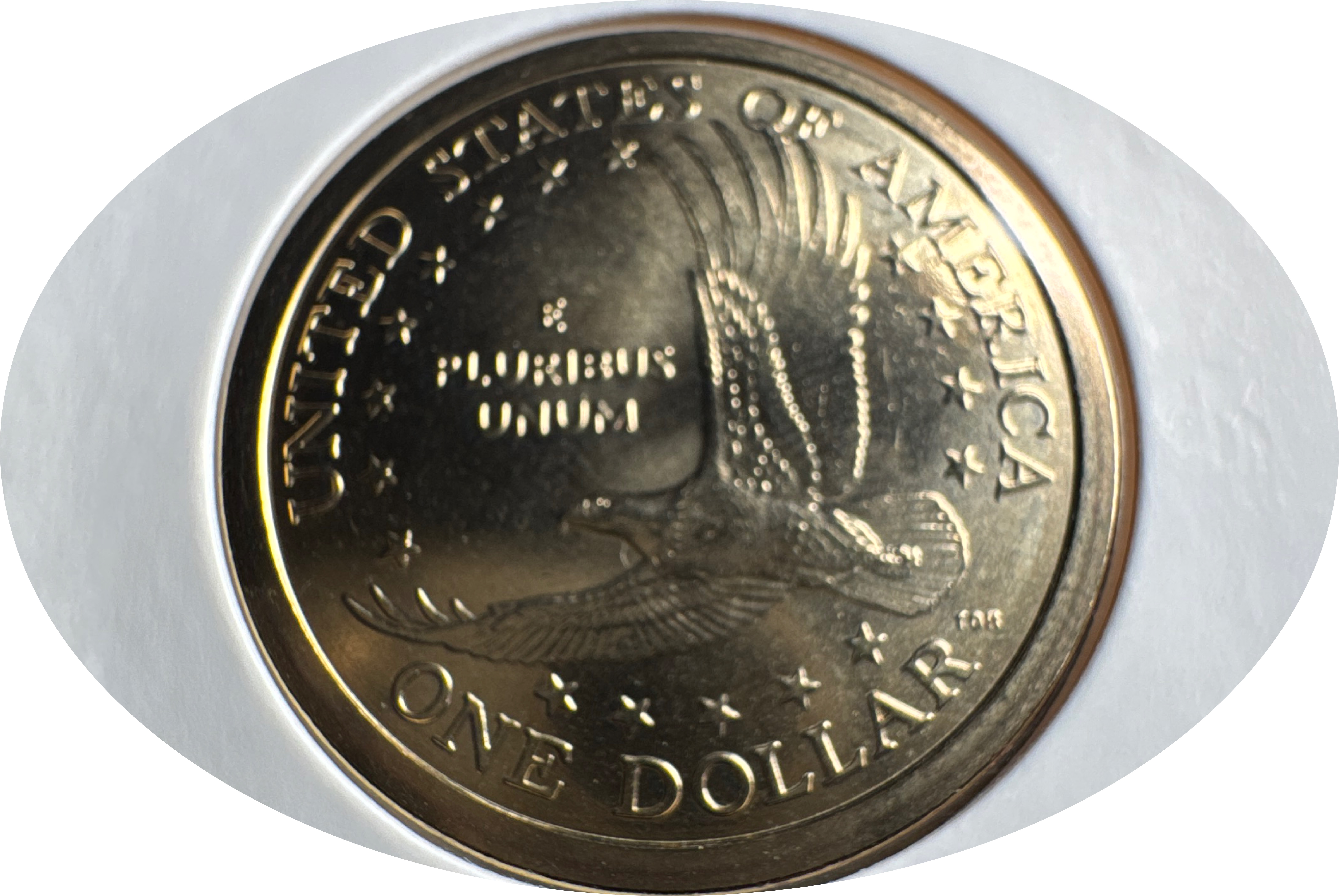 2004-P Sacagawea Dollar Ungraded — back
