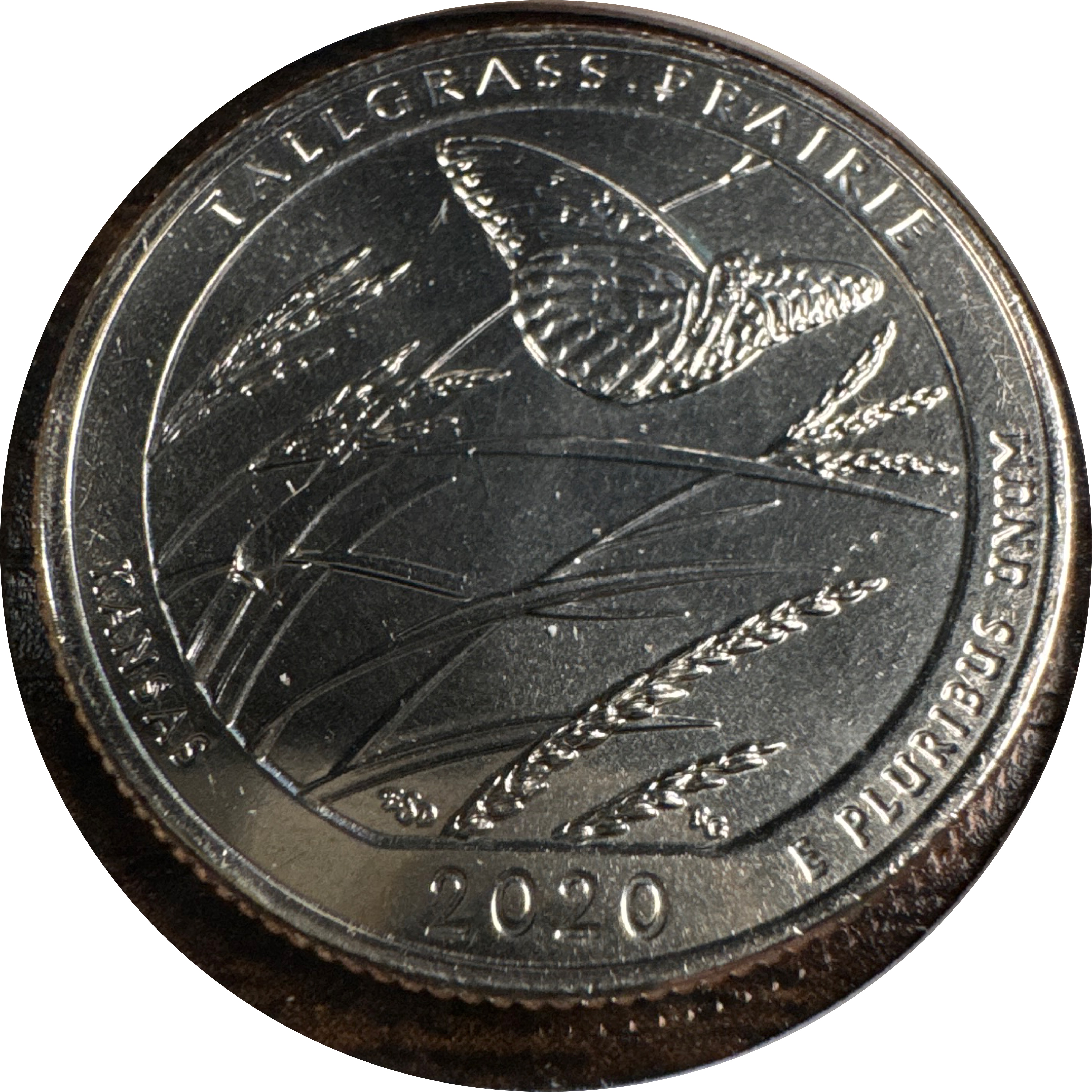 2020-D Washington Quarter Ungraded — back