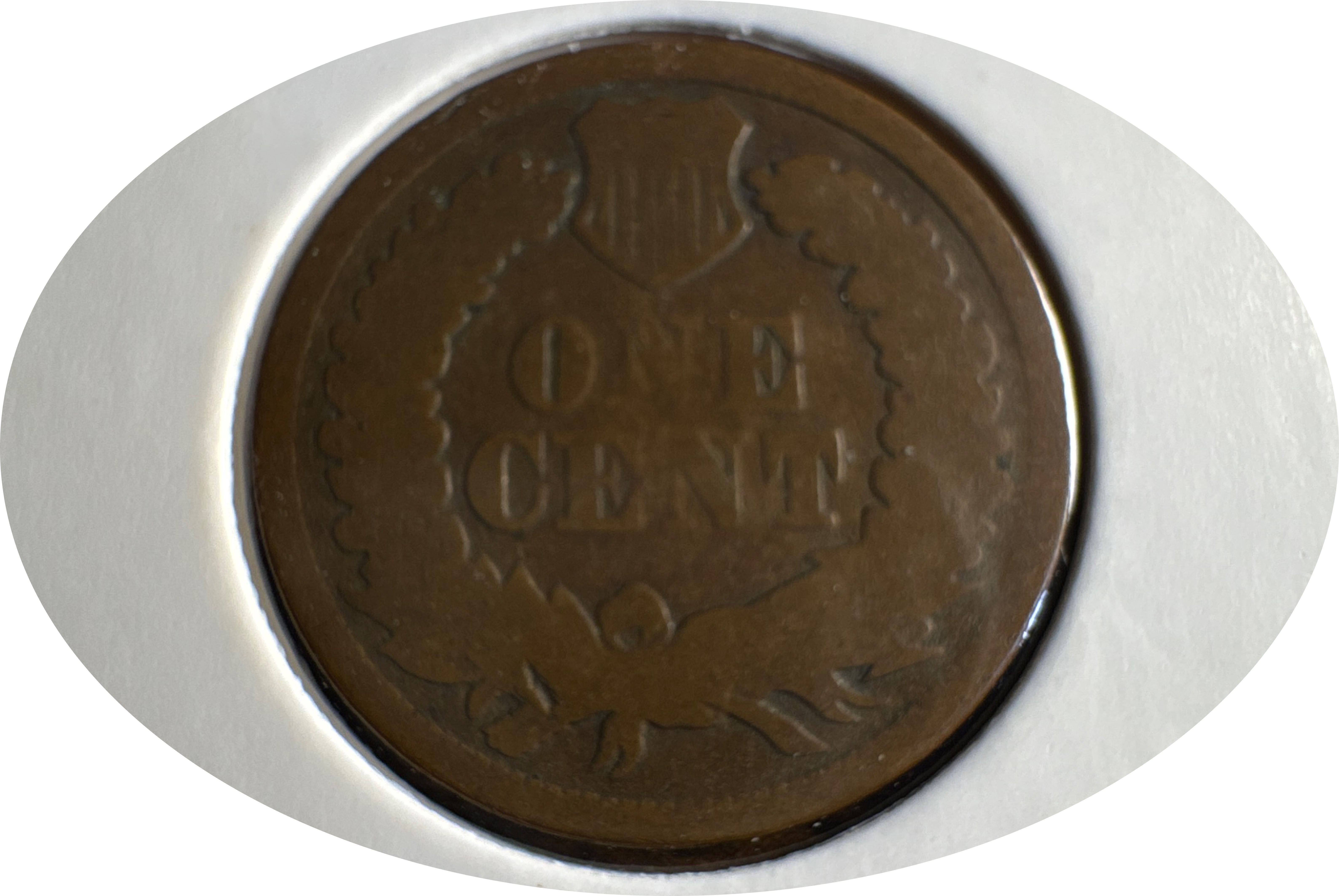 1866-P Indian Head Cent Ungraded — back
