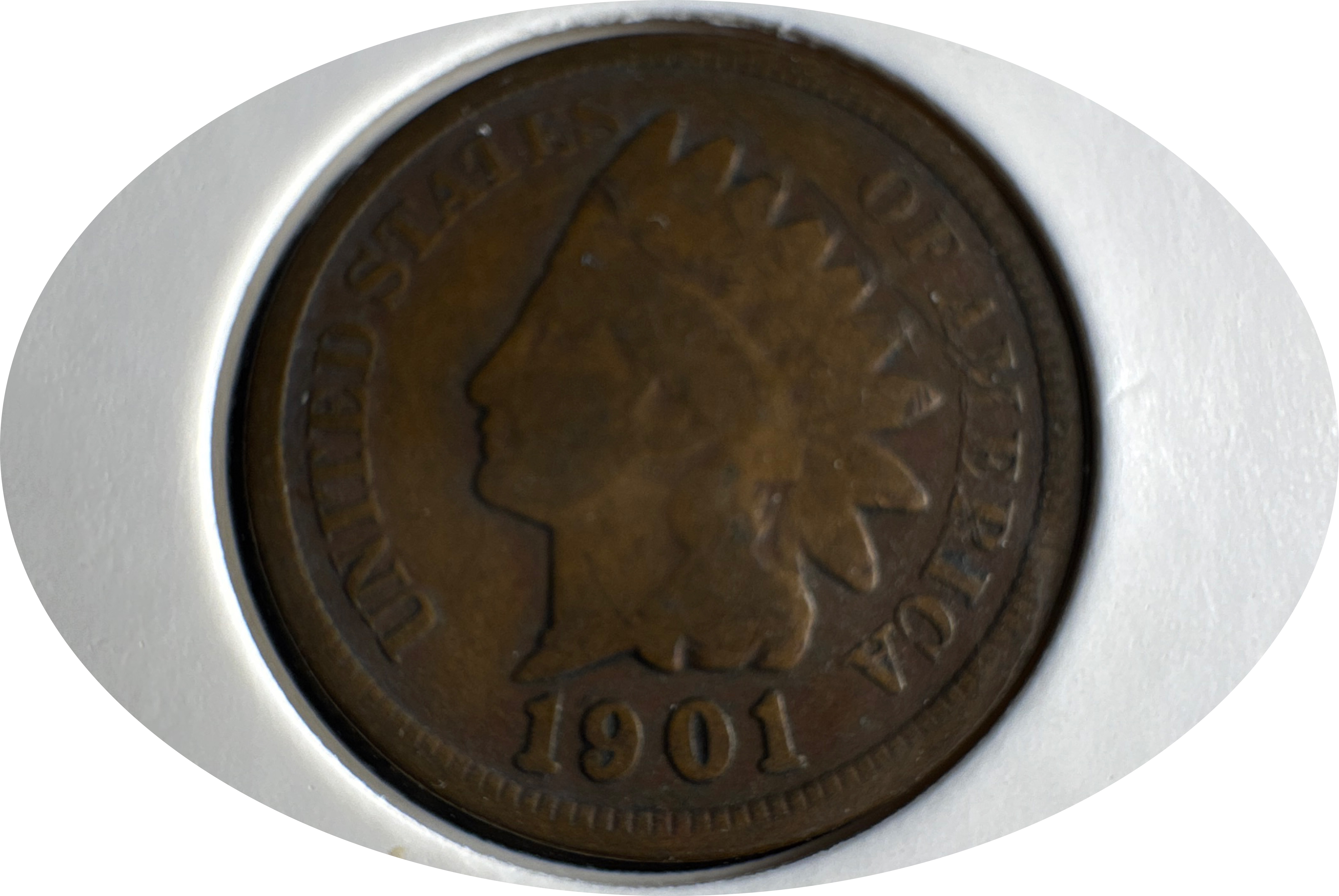1901-P Indian Head Cent Ungraded
