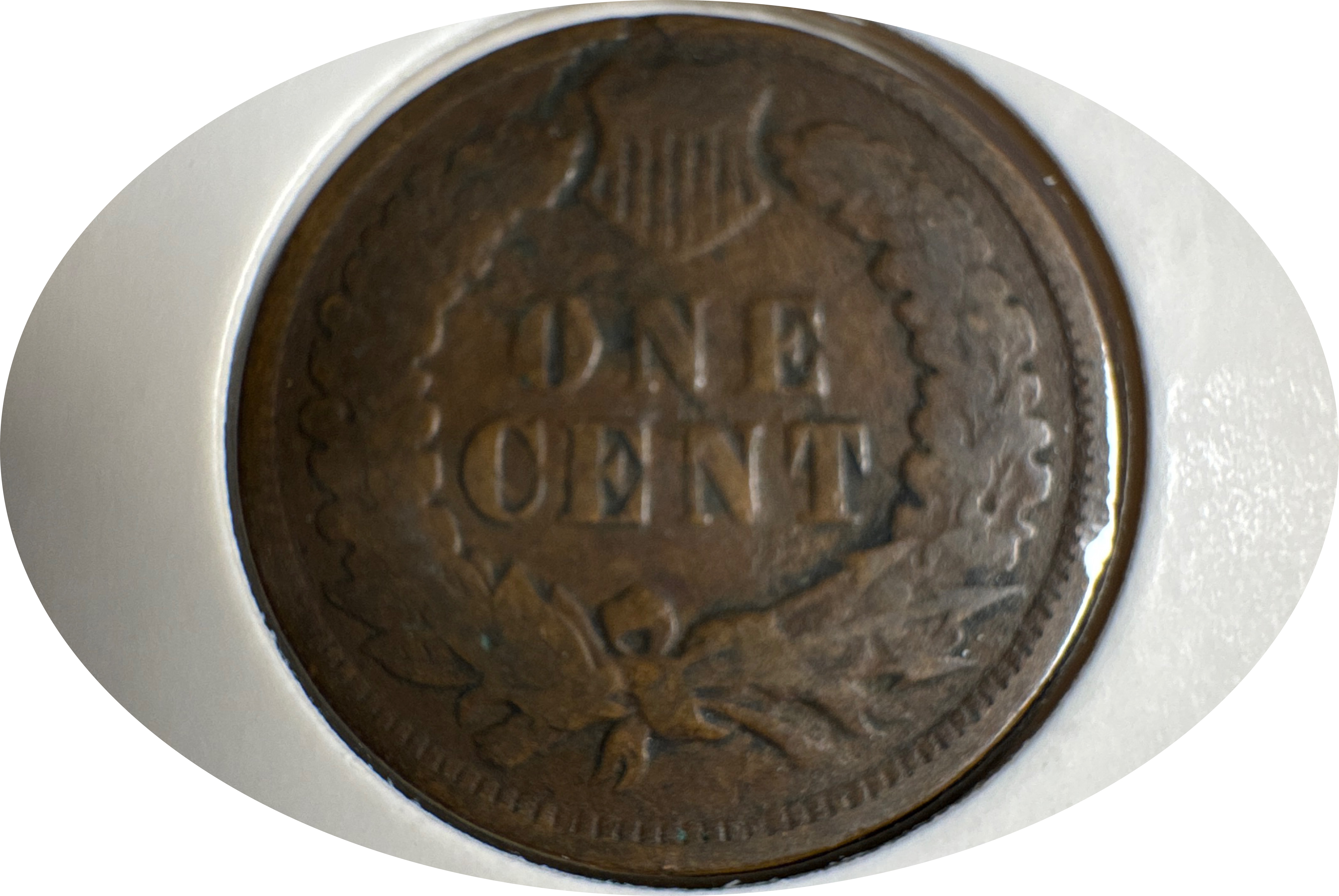 1900-P Indian Head Cent Ungraded — back