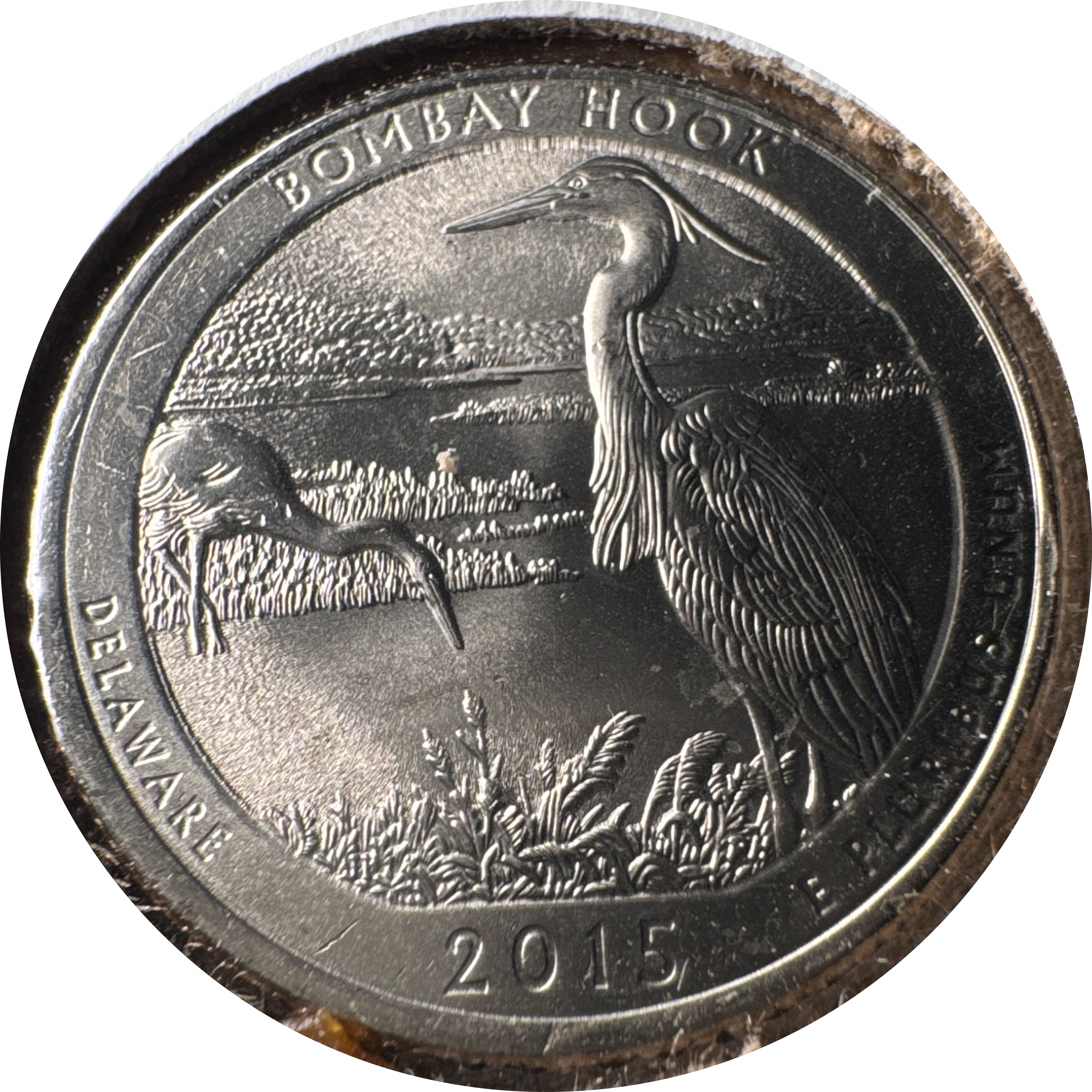 2015-P Washington Quarter Ungraded — back