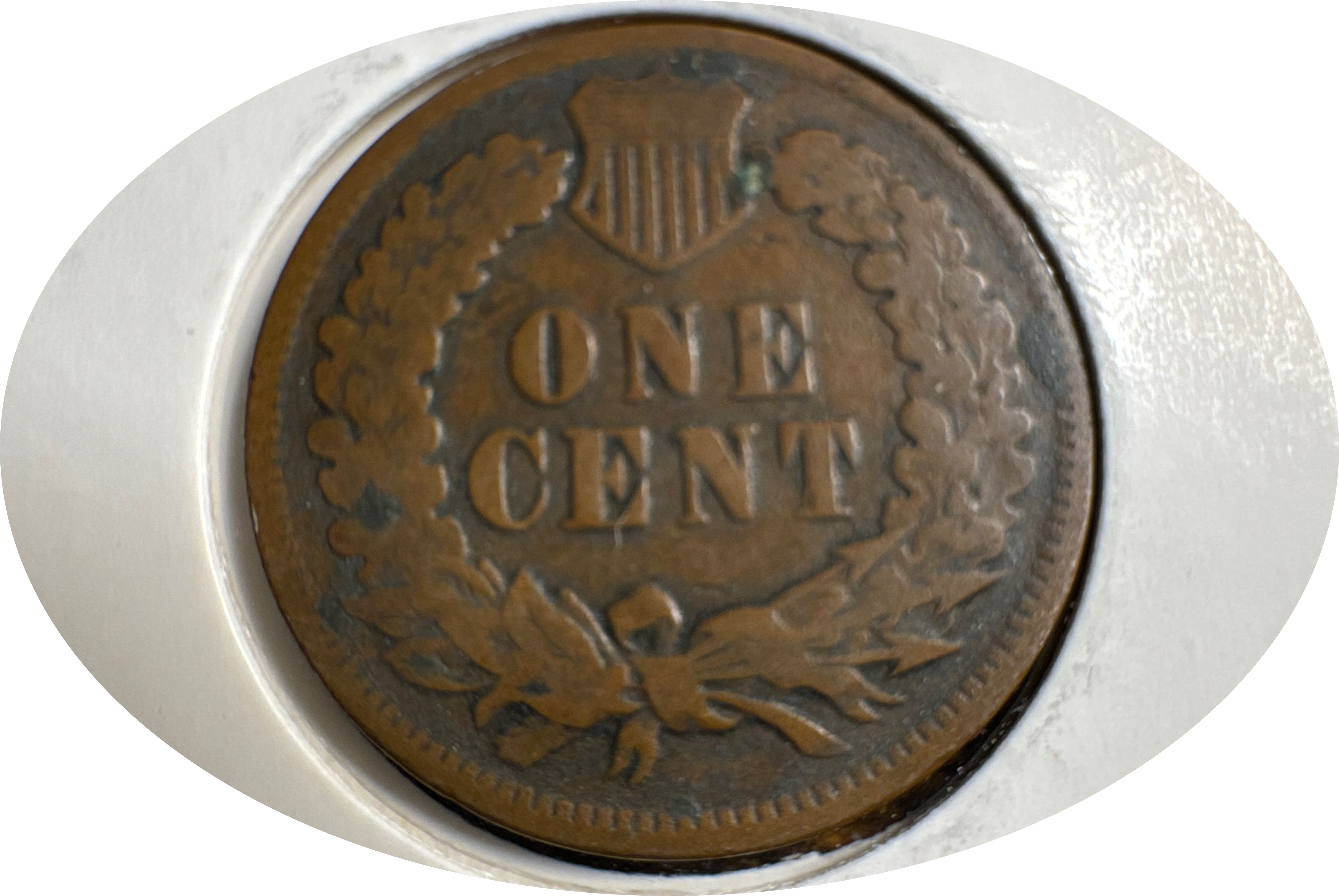 1905-P Indian Head Cent Ungraded — back