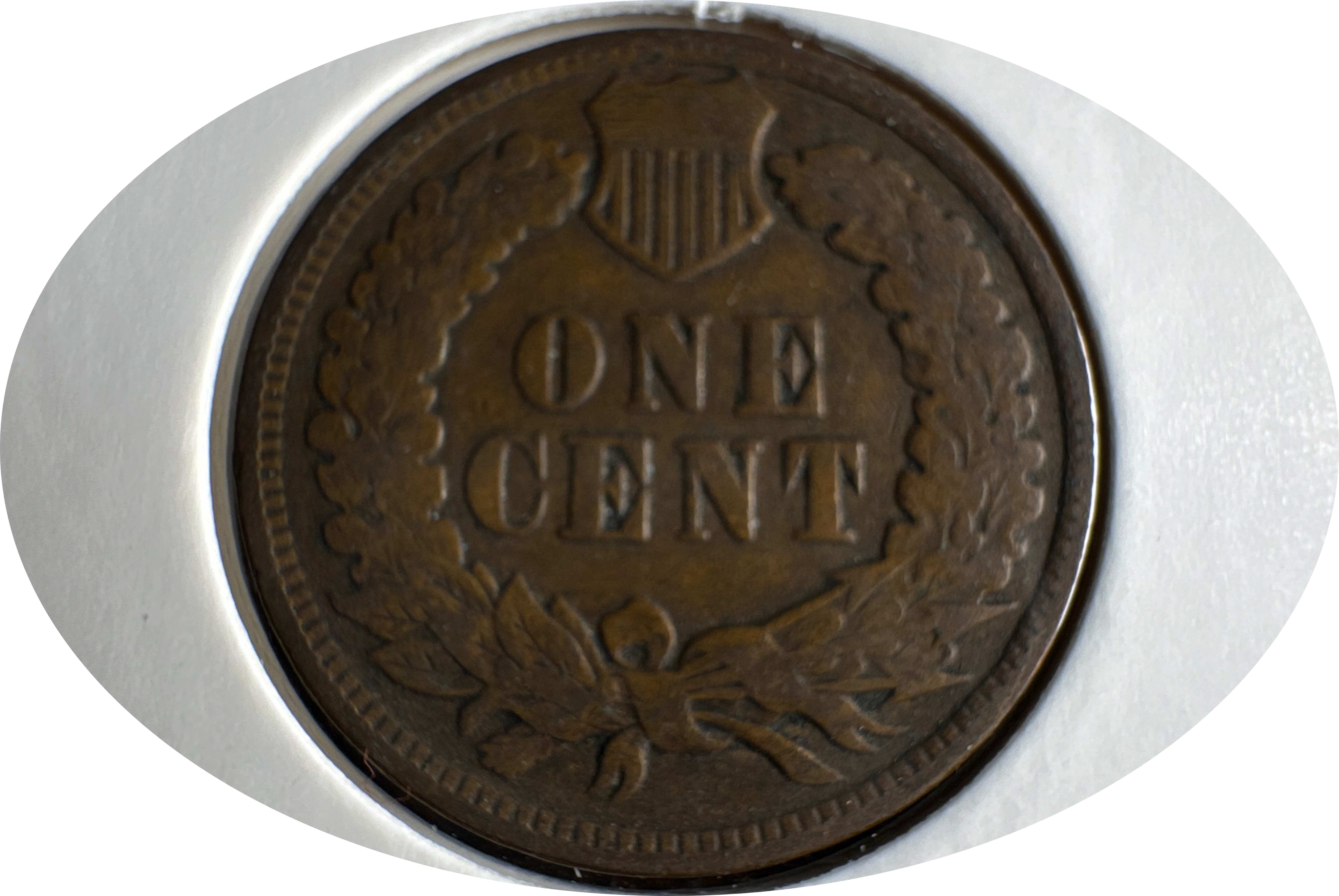 1902-P Indian Head Cent Ungraded — back