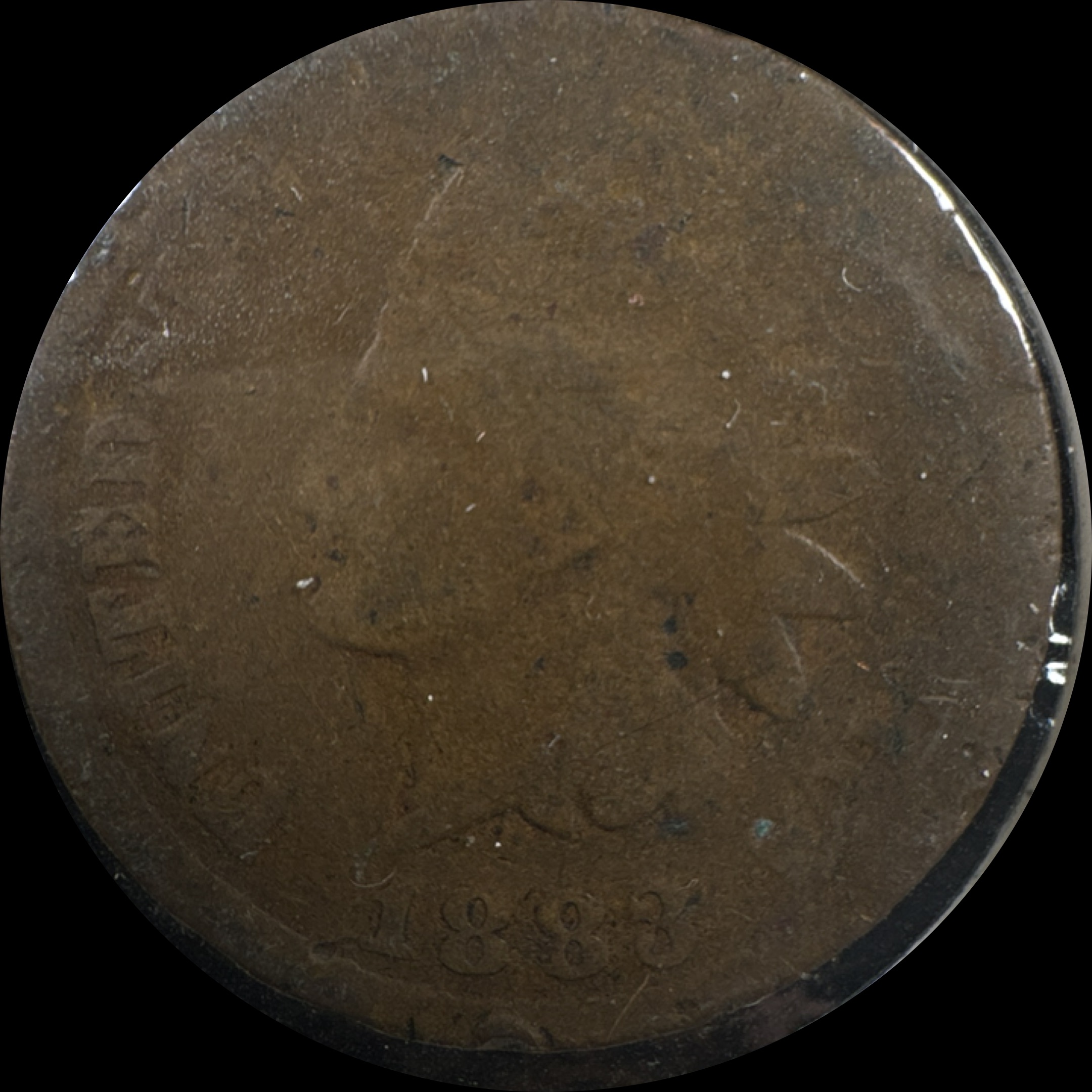 1883-P Indian Head Cent Ungraded