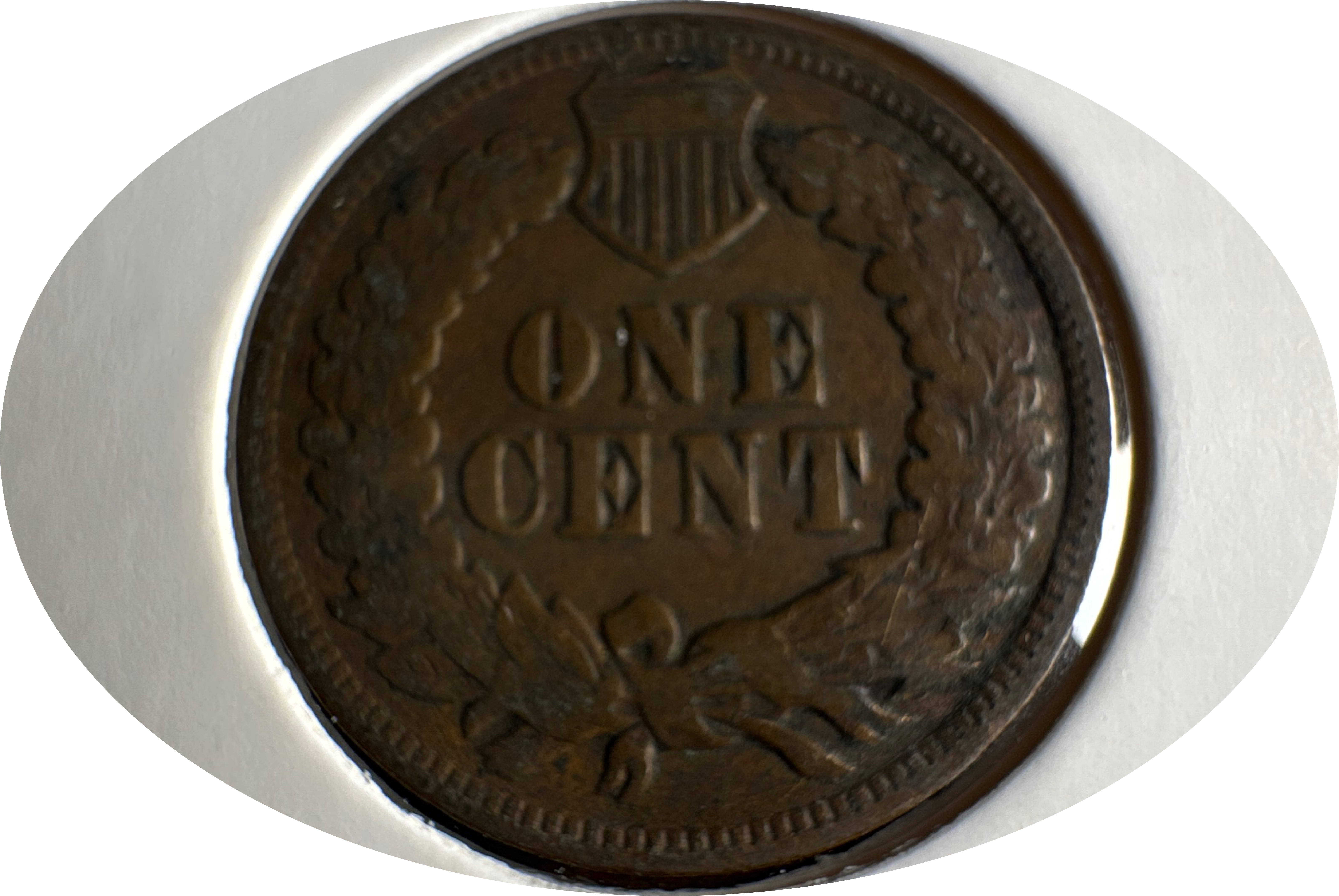 1903-P Indian Head Cent Ungraded — back