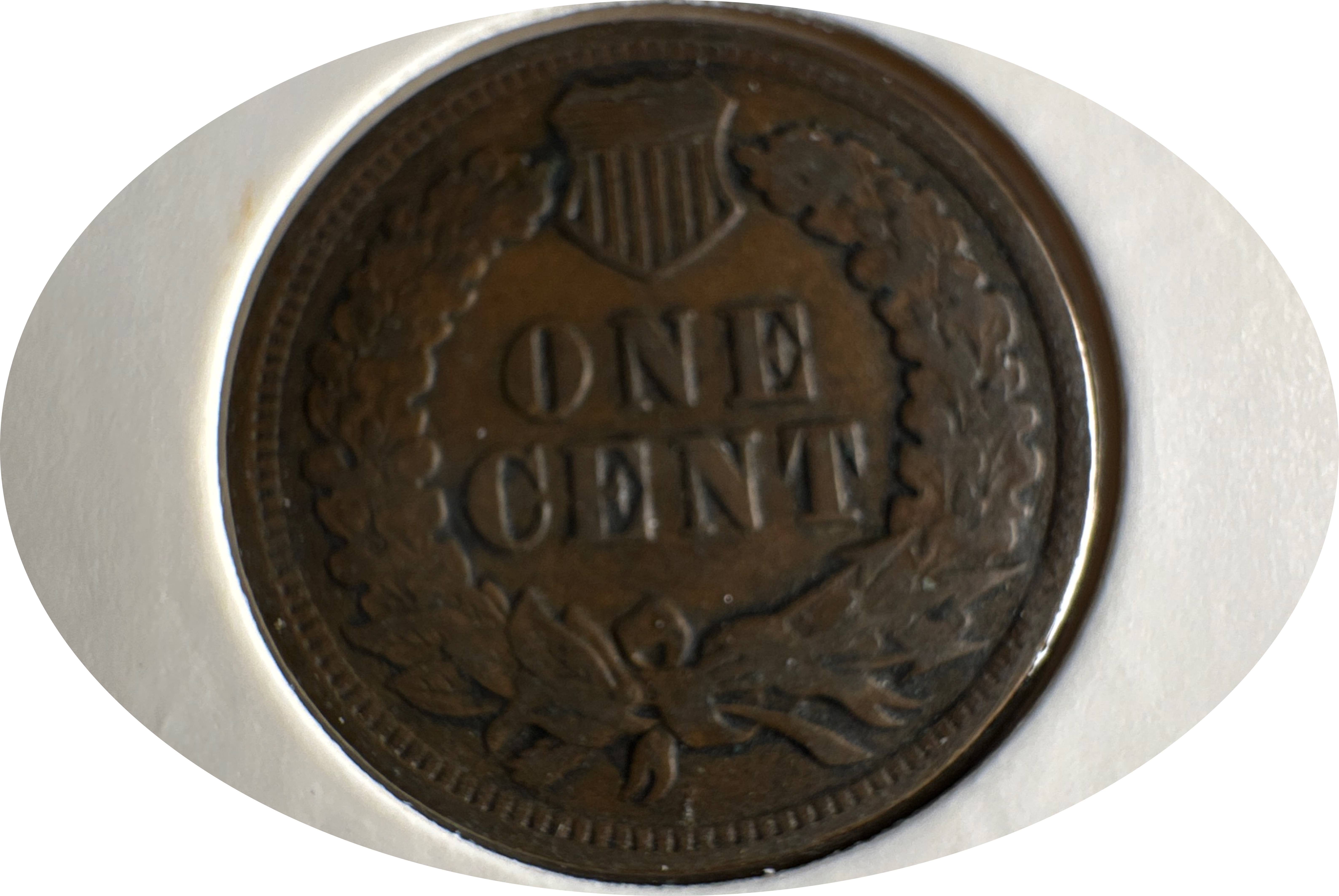 1902-P Indian Head Cent Ungraded — back