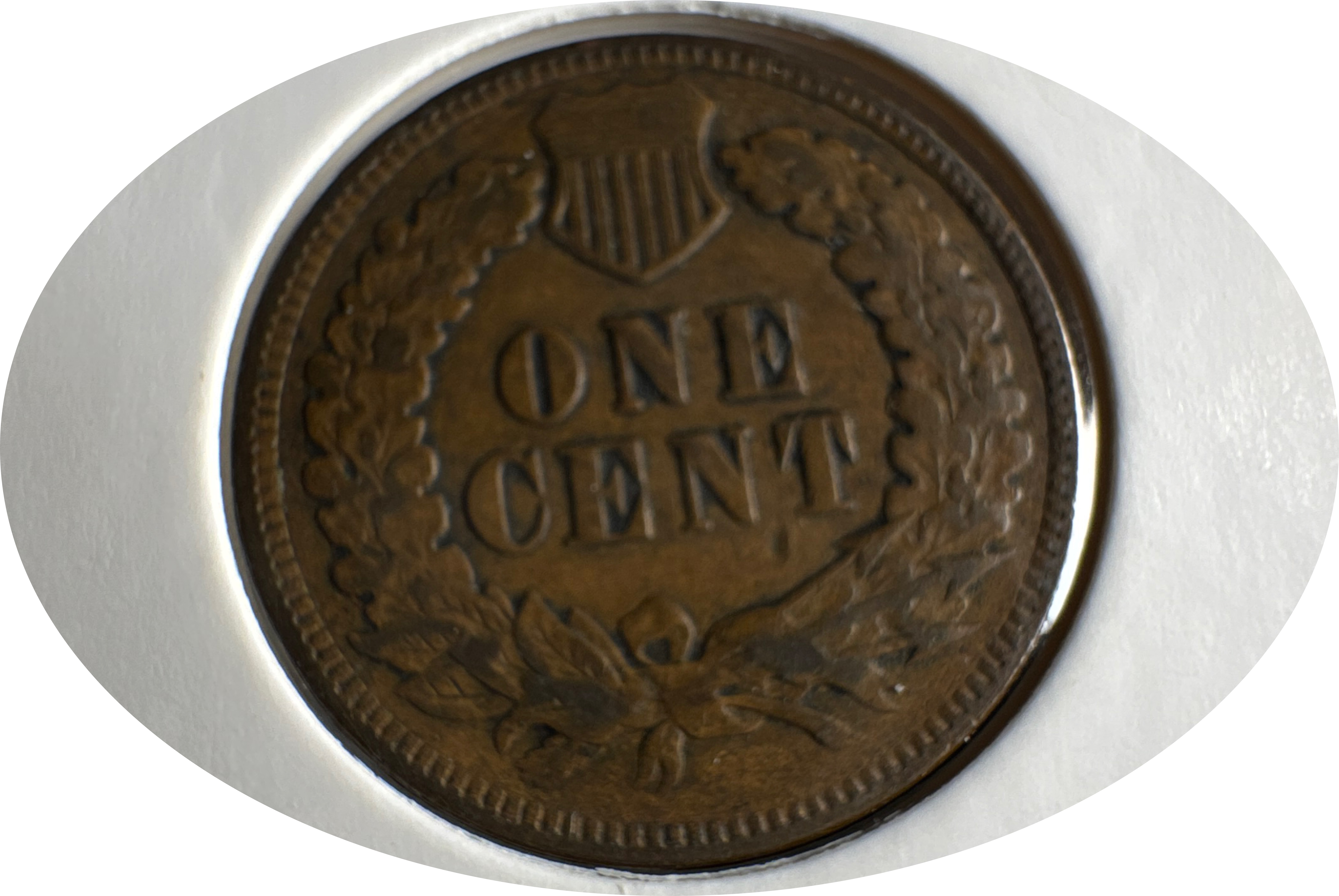1902-P Indian Head Cent Ungraded — back