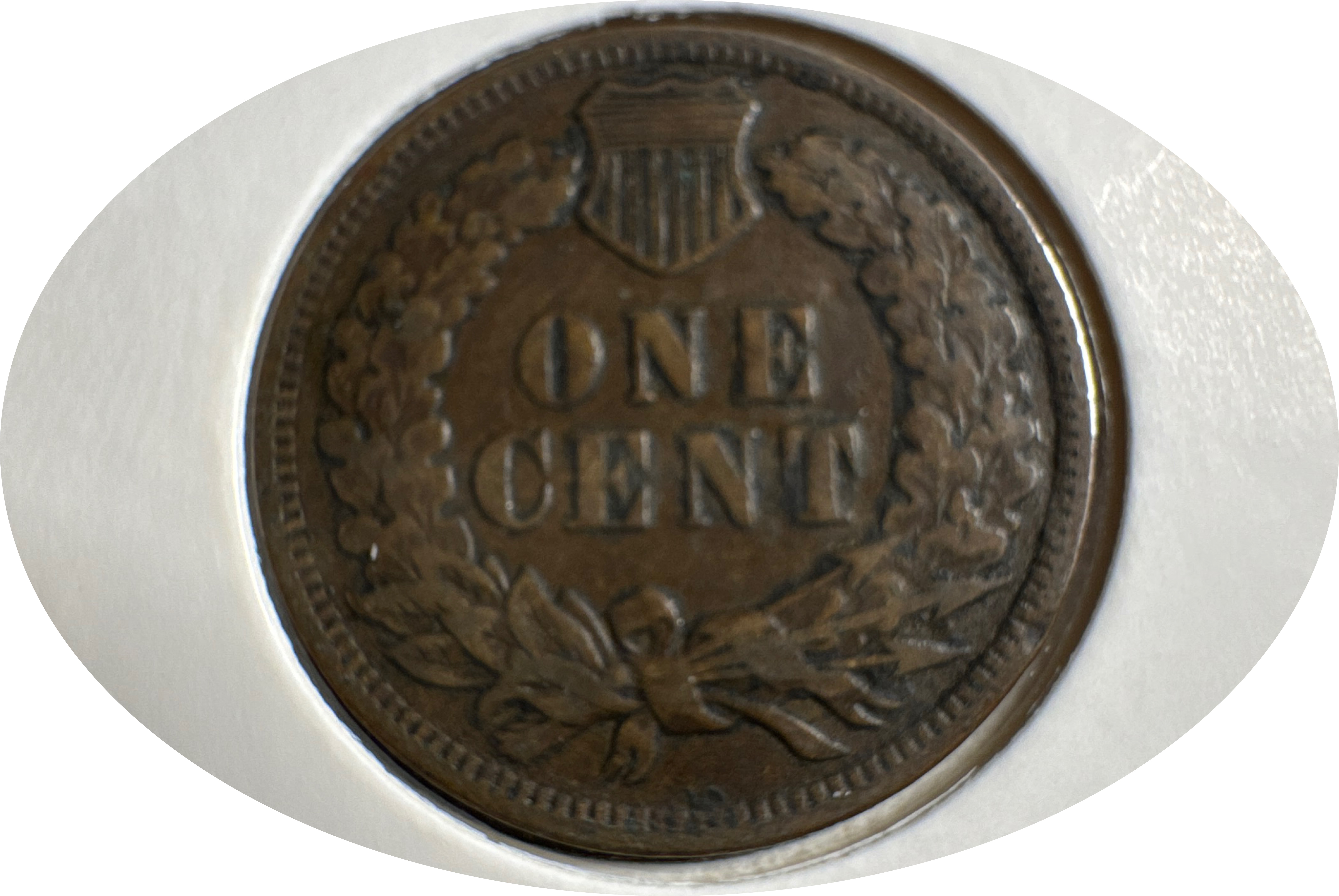 1906-P Indian Head Cent Ungraded — back