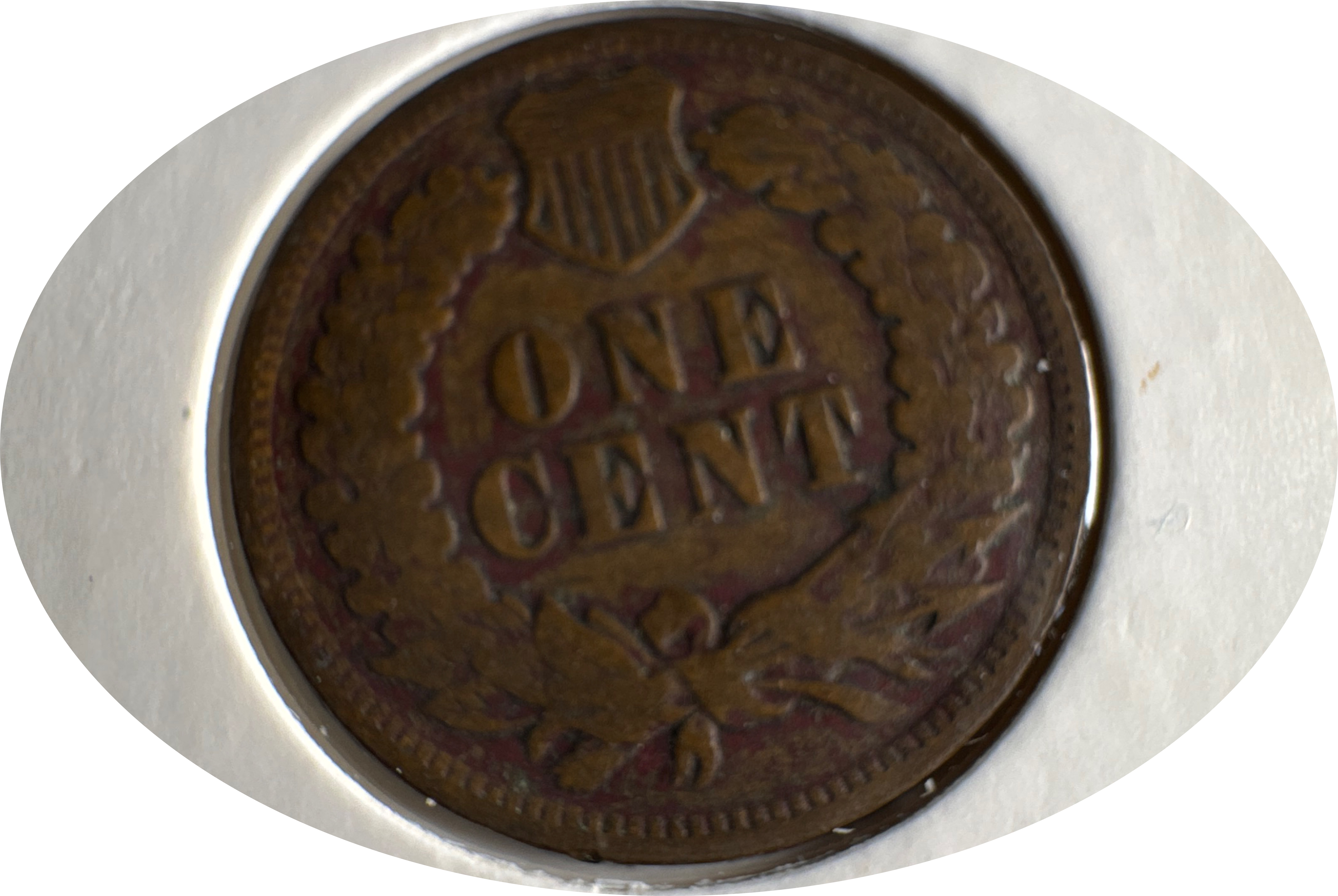 1903-P Indian Head Cent Ungraded — back