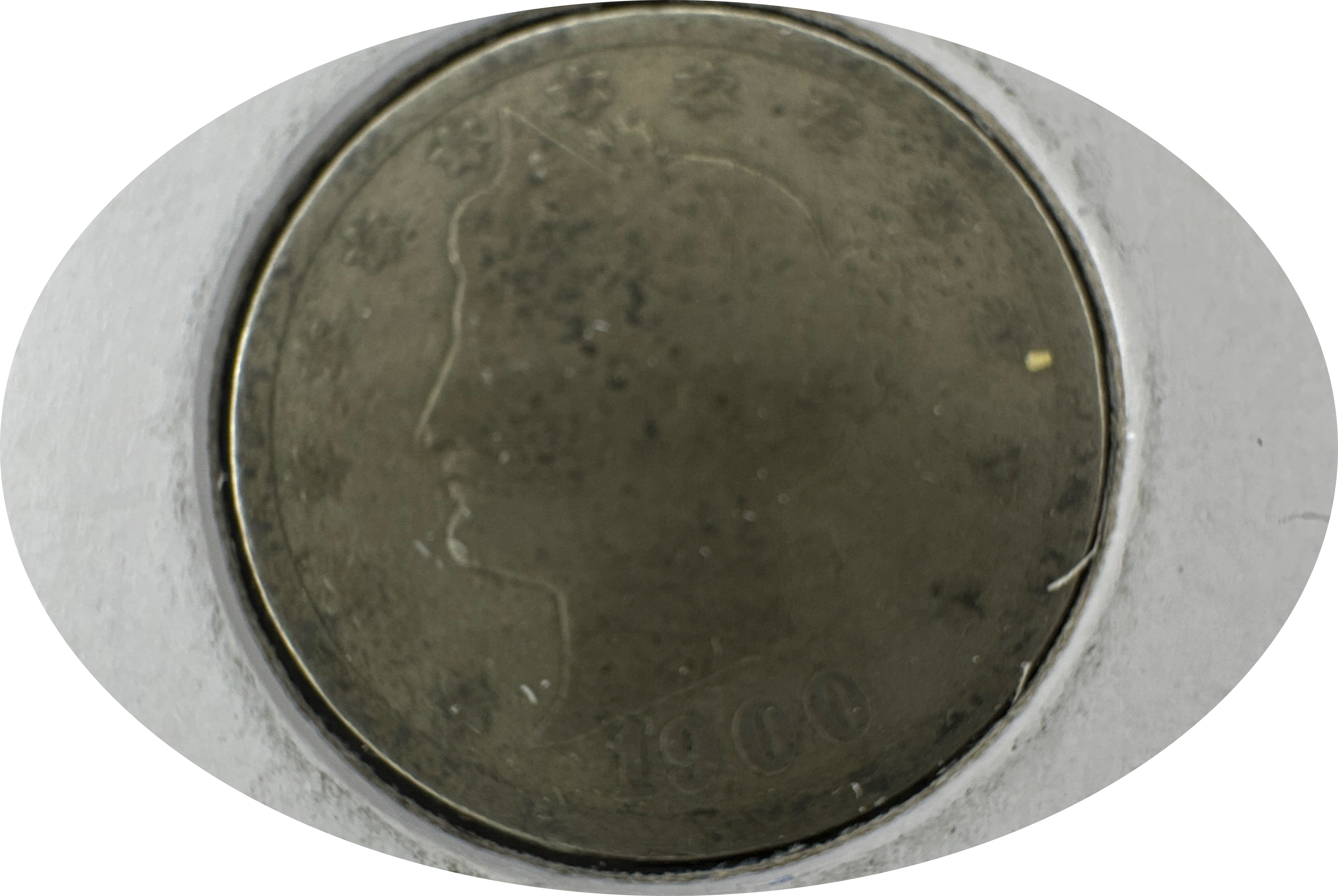 1900-P Liberty V Nickel Ungraded