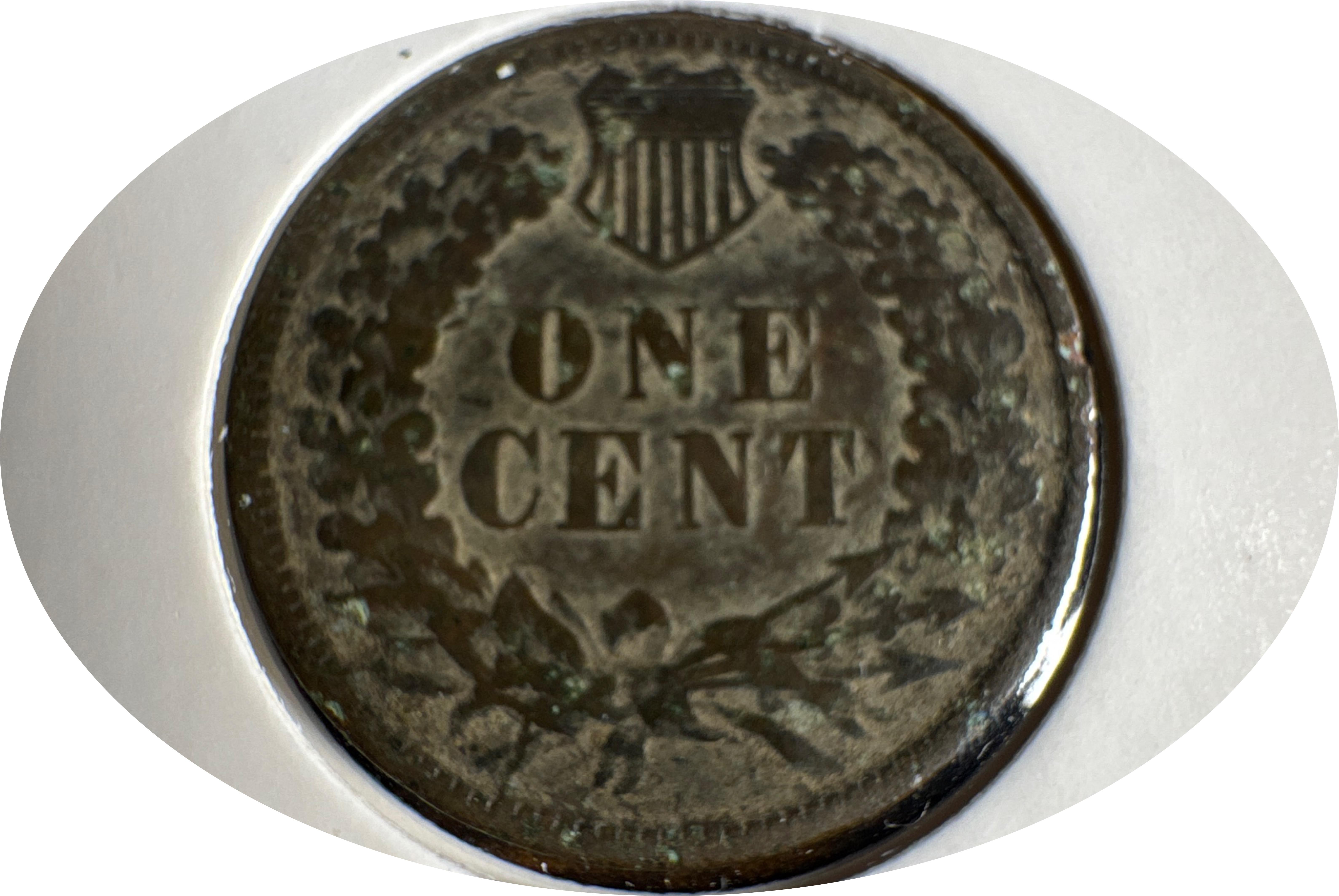 1891-P Indian Head Cent Ungraded — back