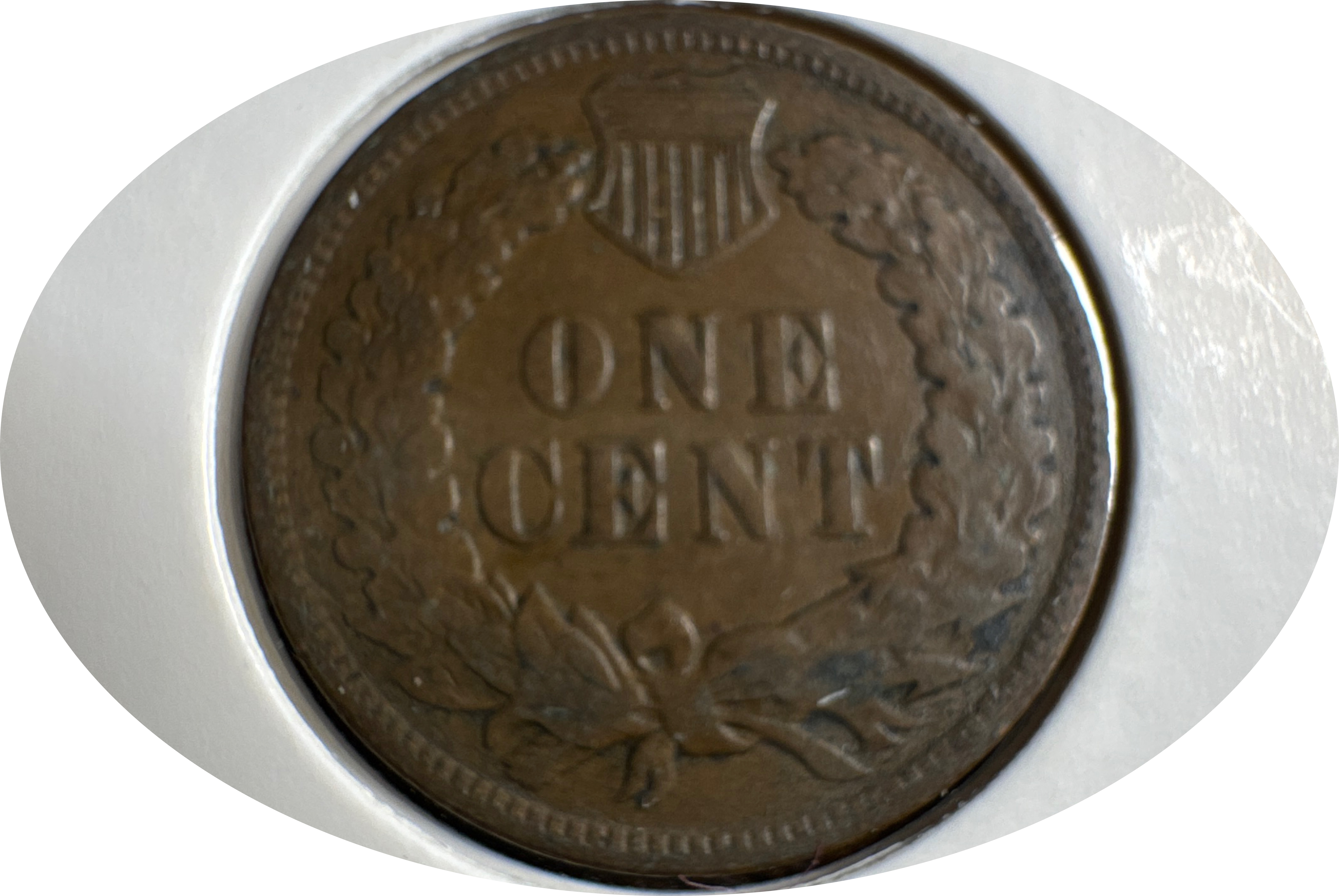 1906-P Indian Head Cent Ungraded — back