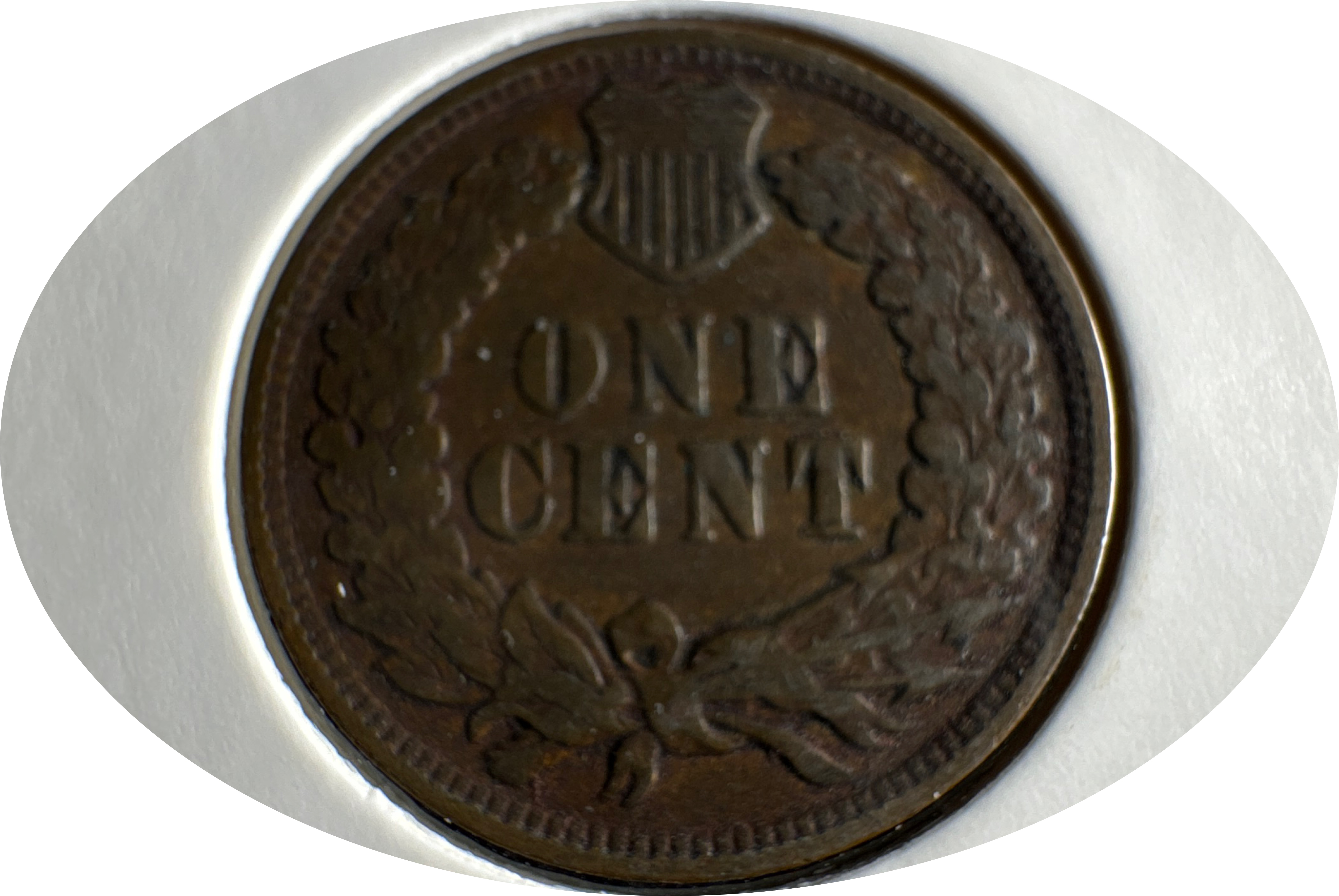 1902-P Indian Head Cent Ungraded — back