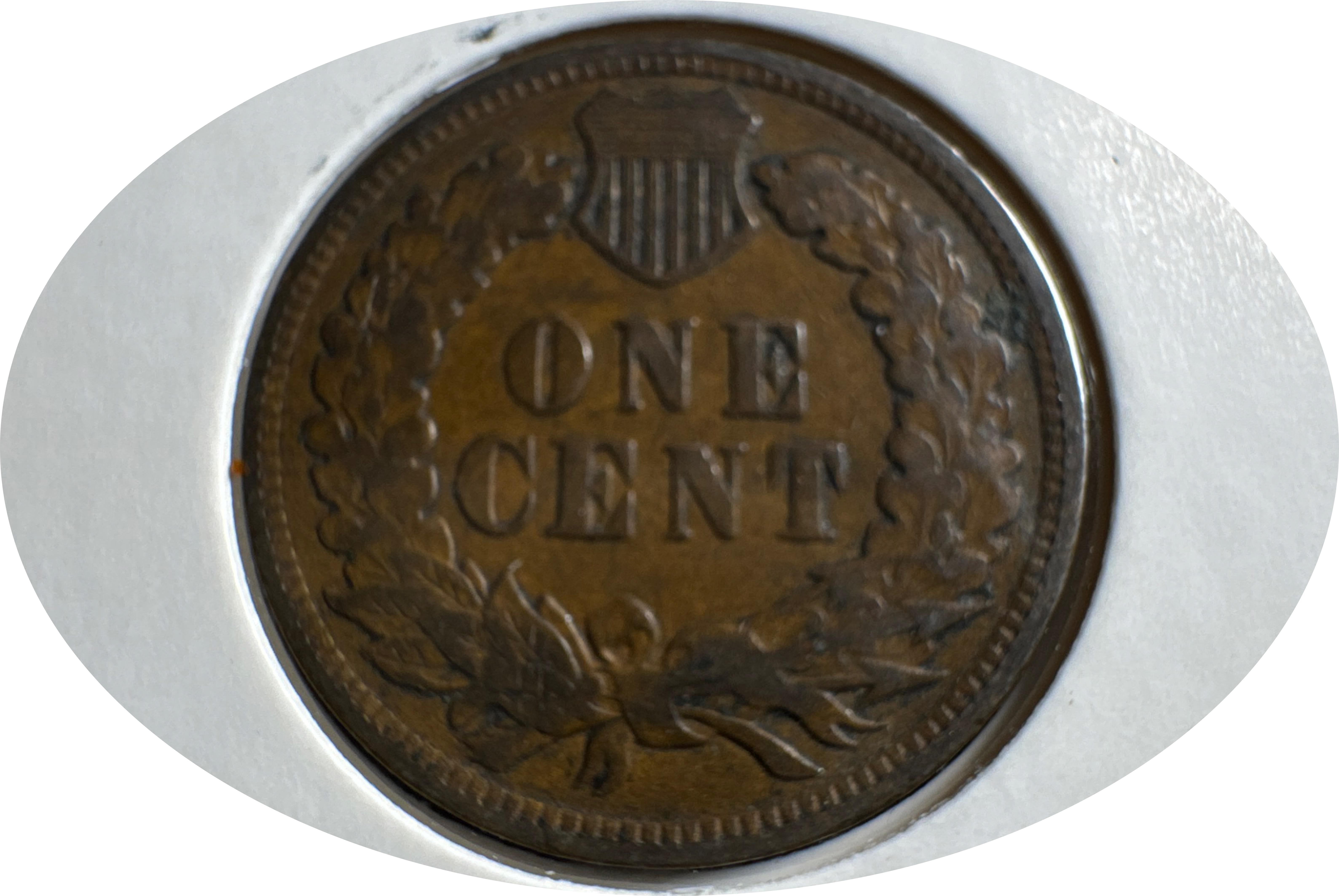 1907-P Indian Head Cent Ungraded — back