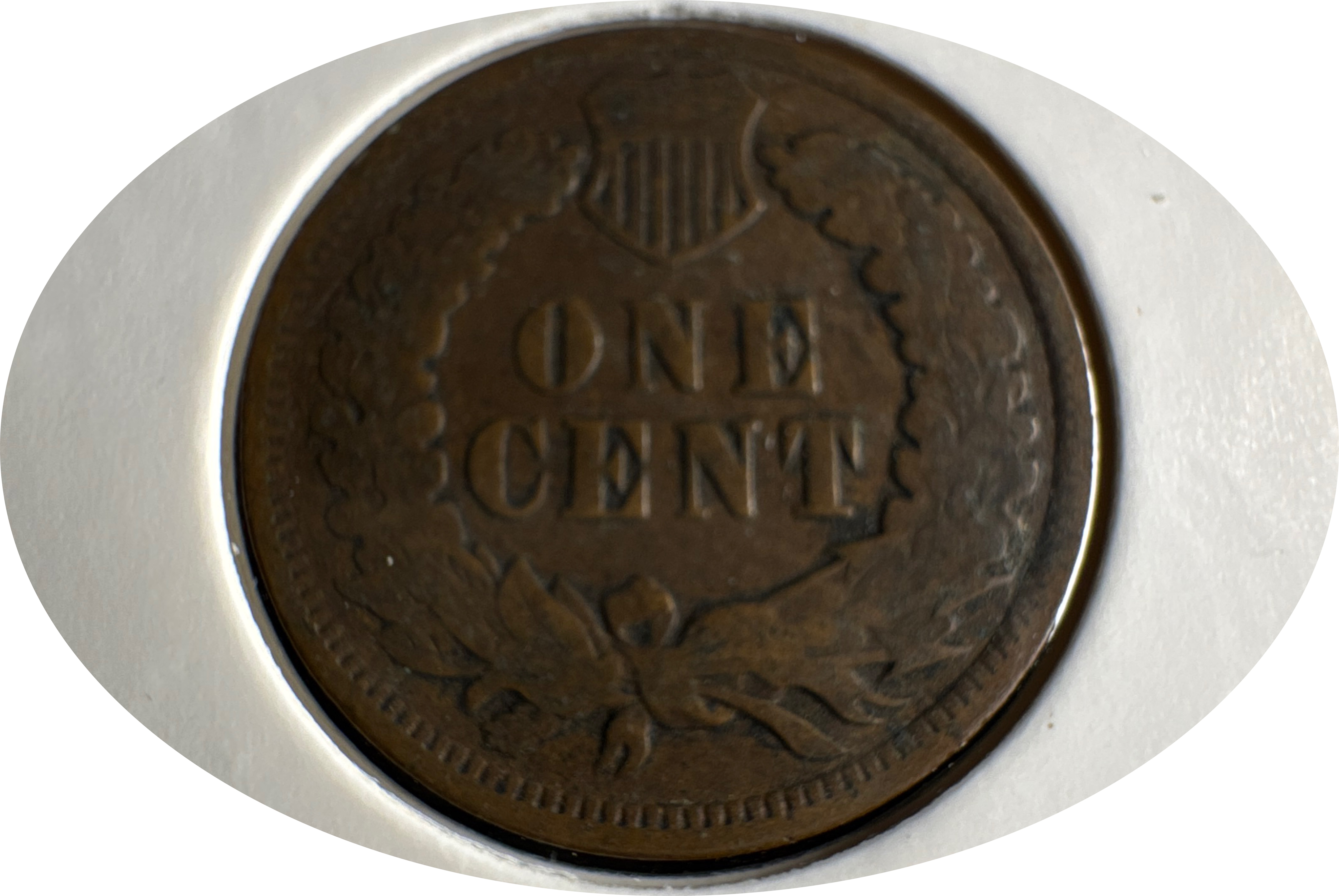 1903-P Indian Head Cent Ungraded — back