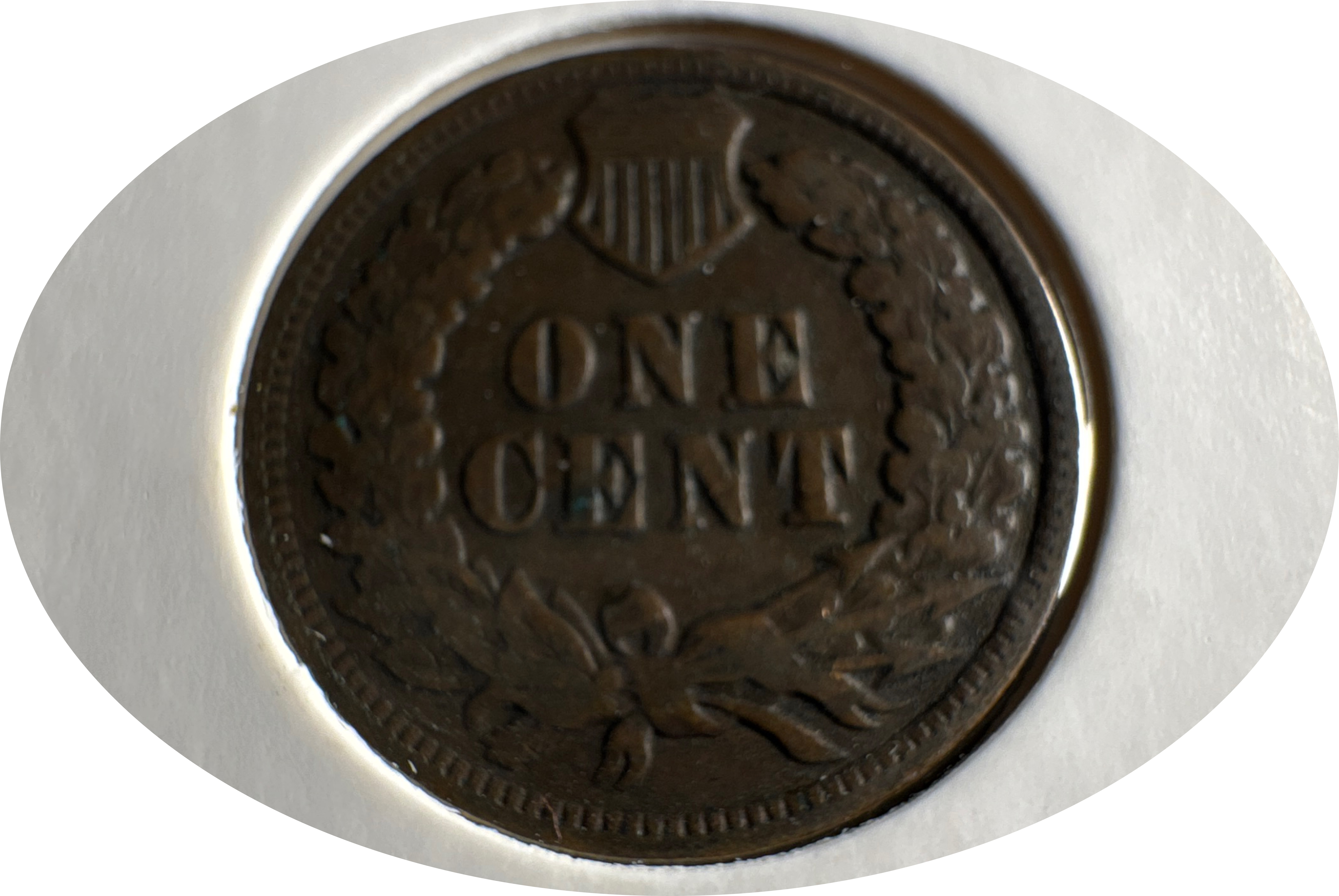 1902-P Indian Head Cent Ungraded — back