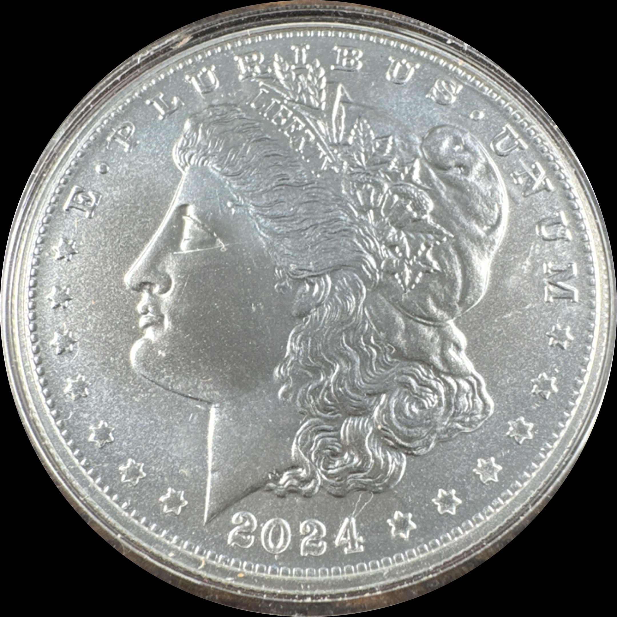2024-P Morgan Dollar Ungraded