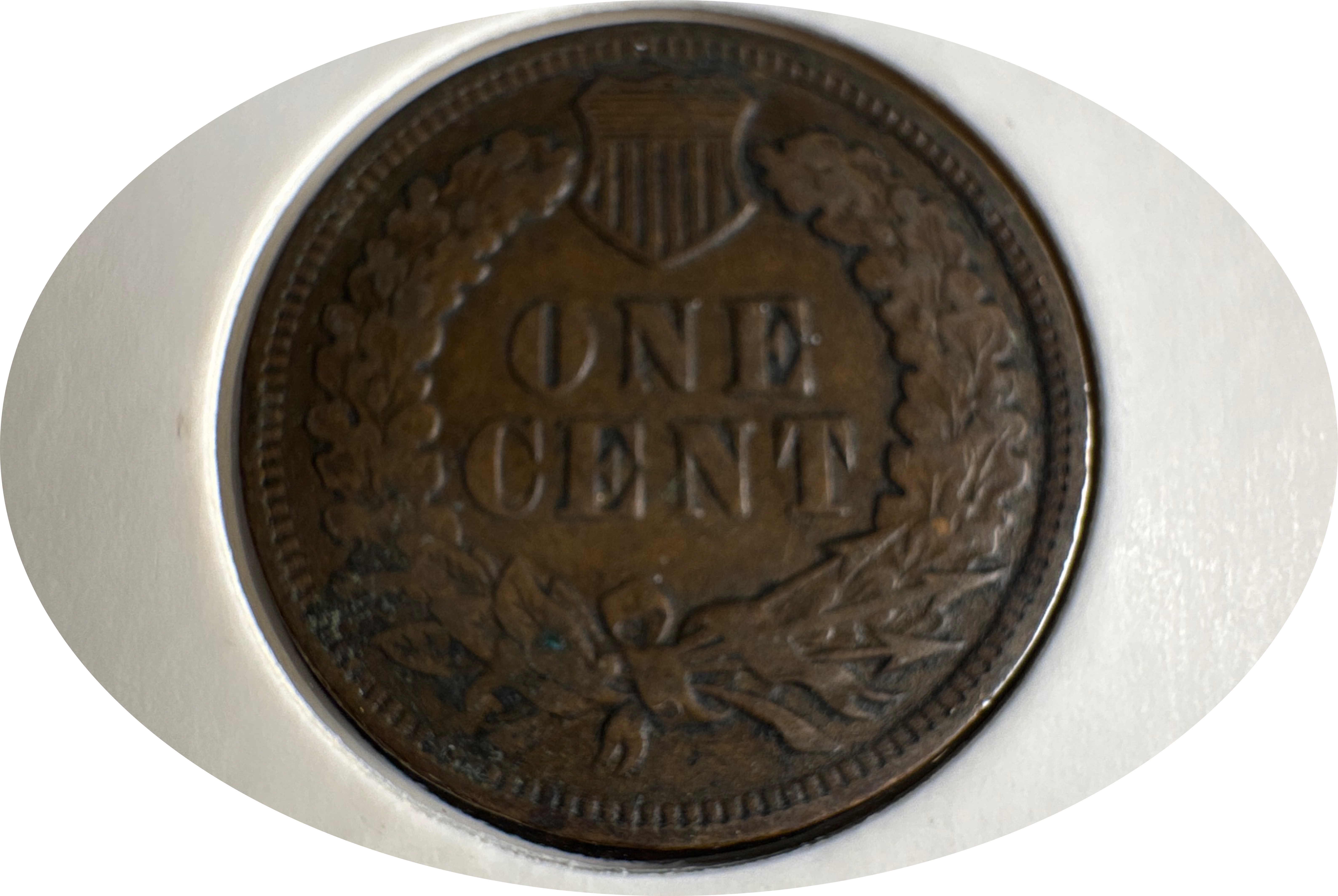 1903-P Indian Head Cent Ungraded — back