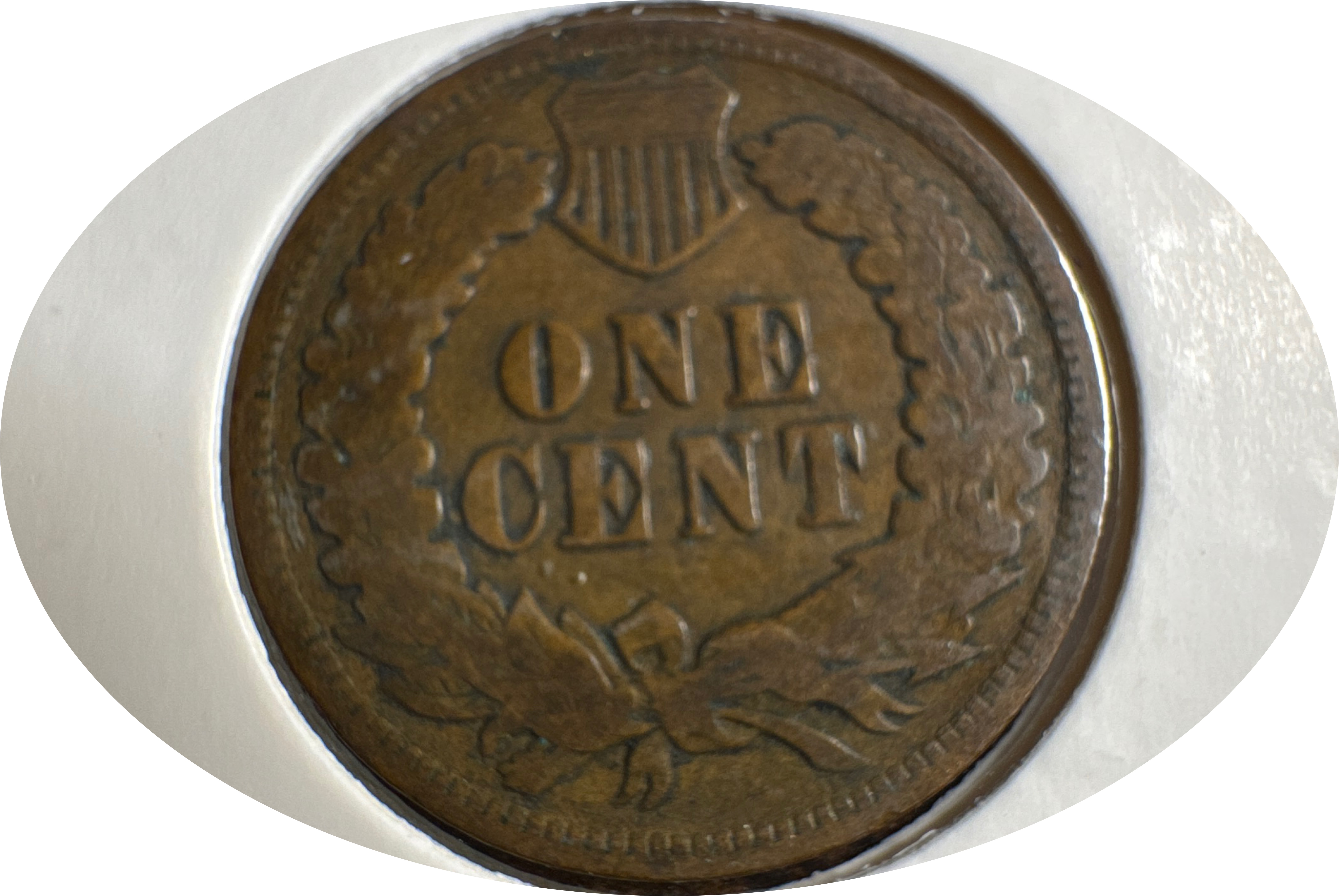 1905-P Indian Head Cent Ungraded — back