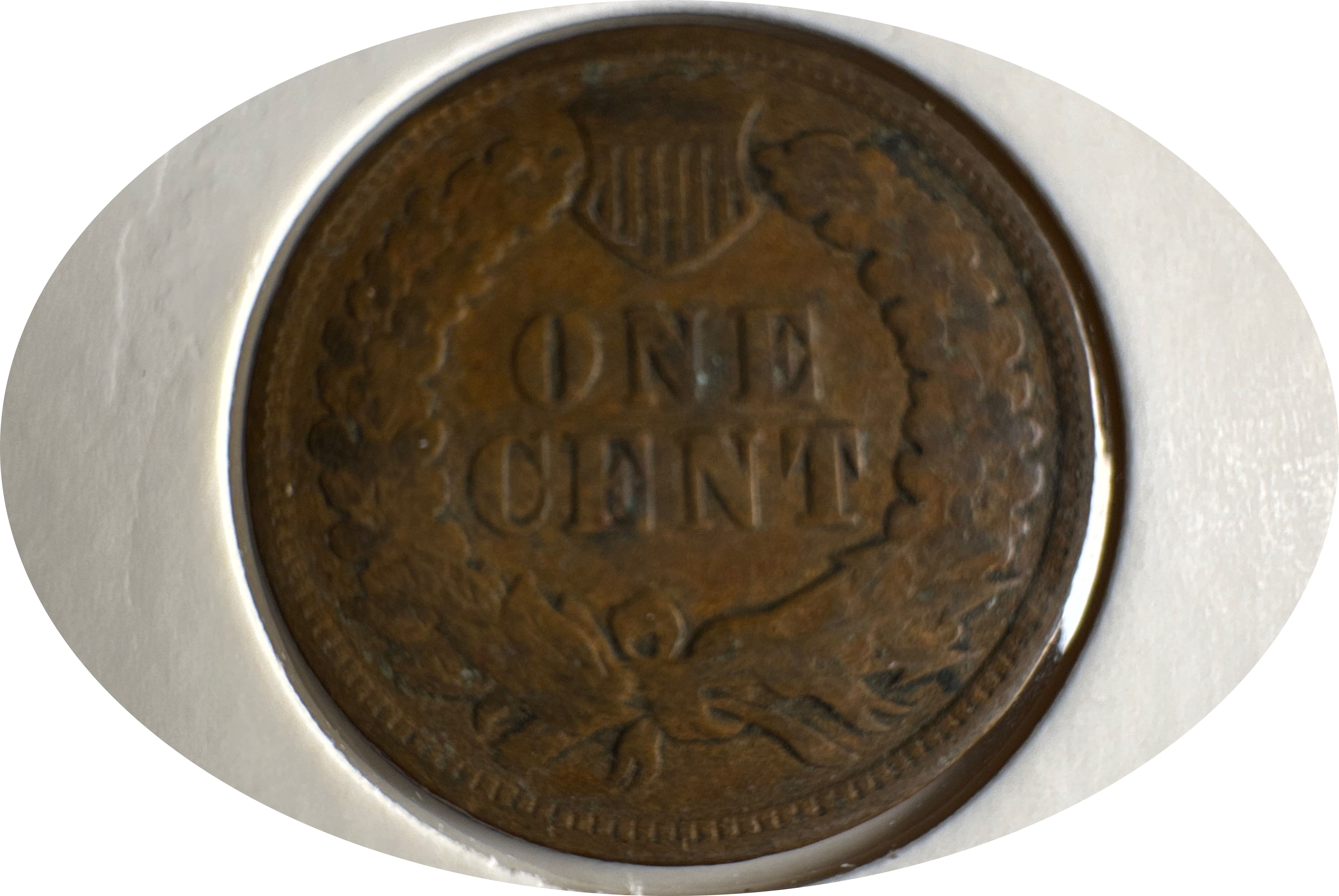 1903-P Indian Head Cent Ungraded — back