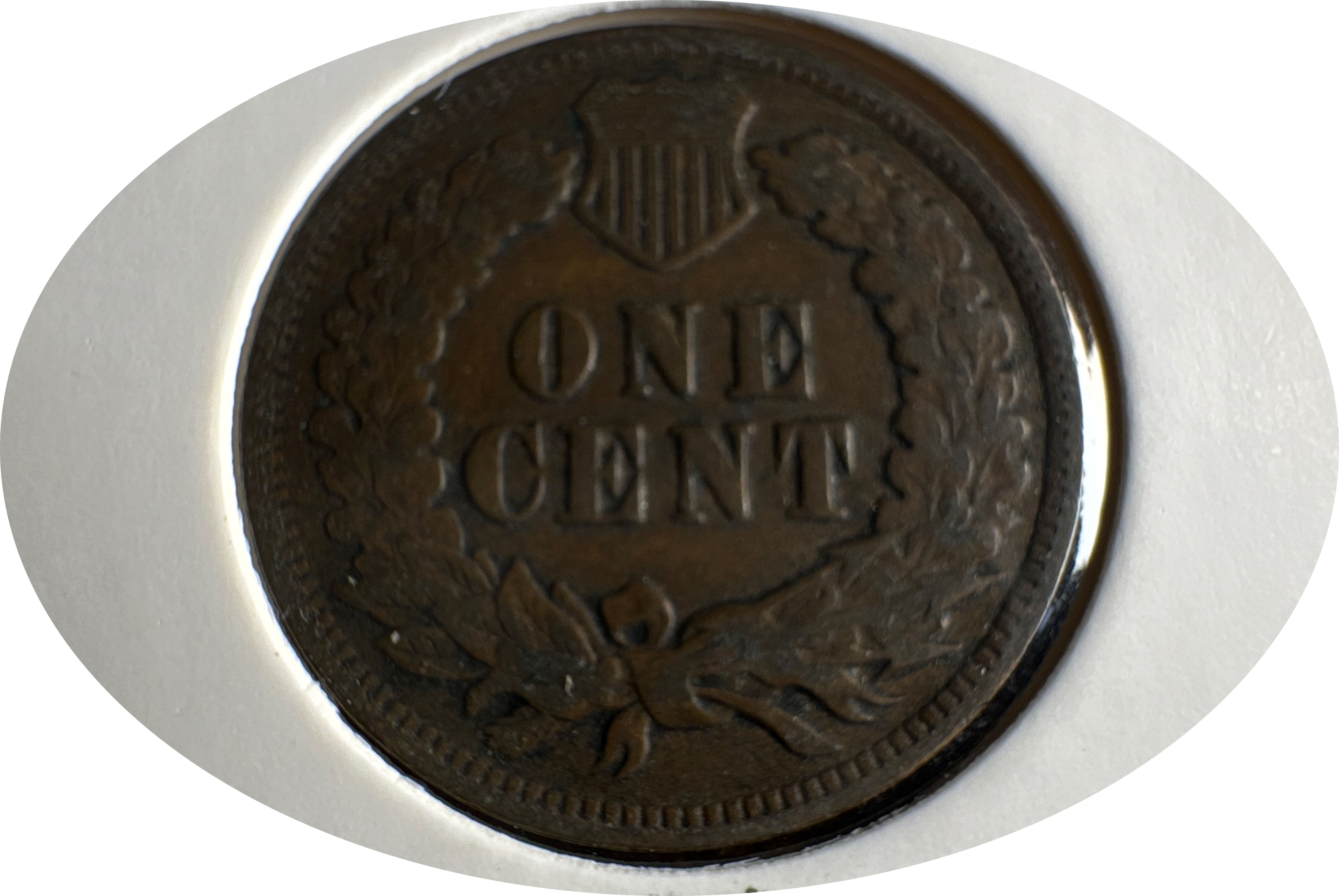 1903-P Indian Head Cent Ungraded — back