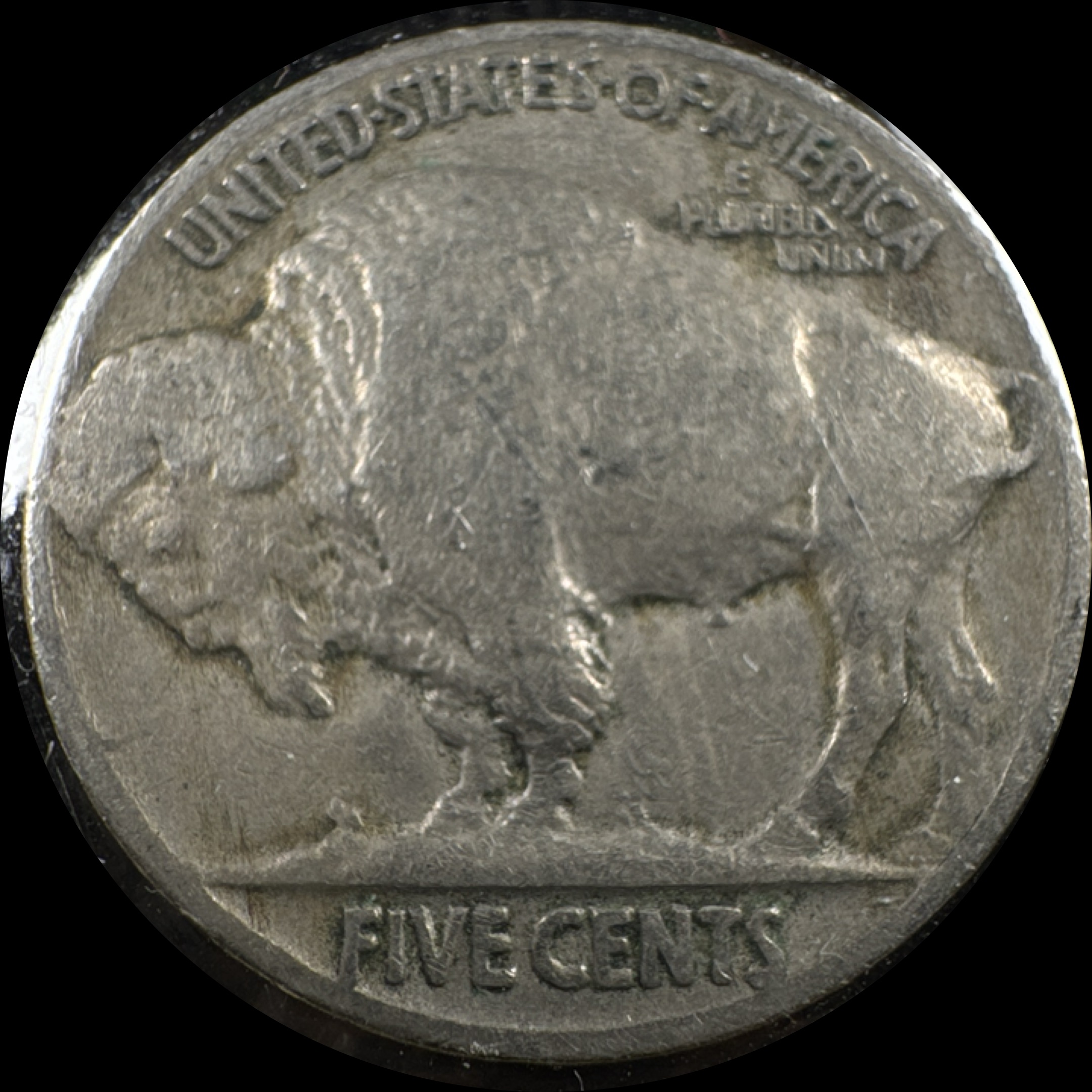 1930-P Buffalo Nickel Ungraded — back