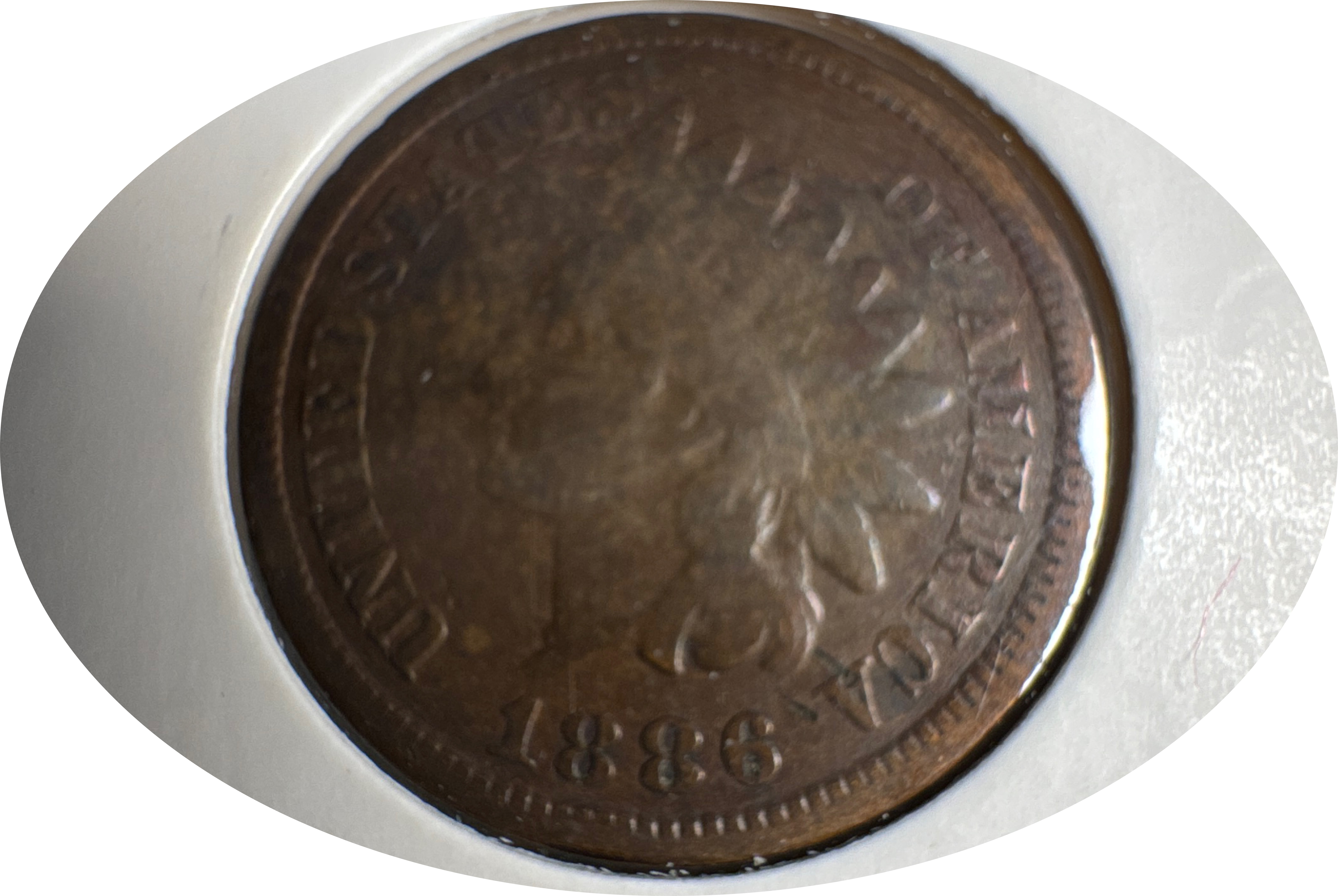 1886-P Indian Head Cent Ungraded