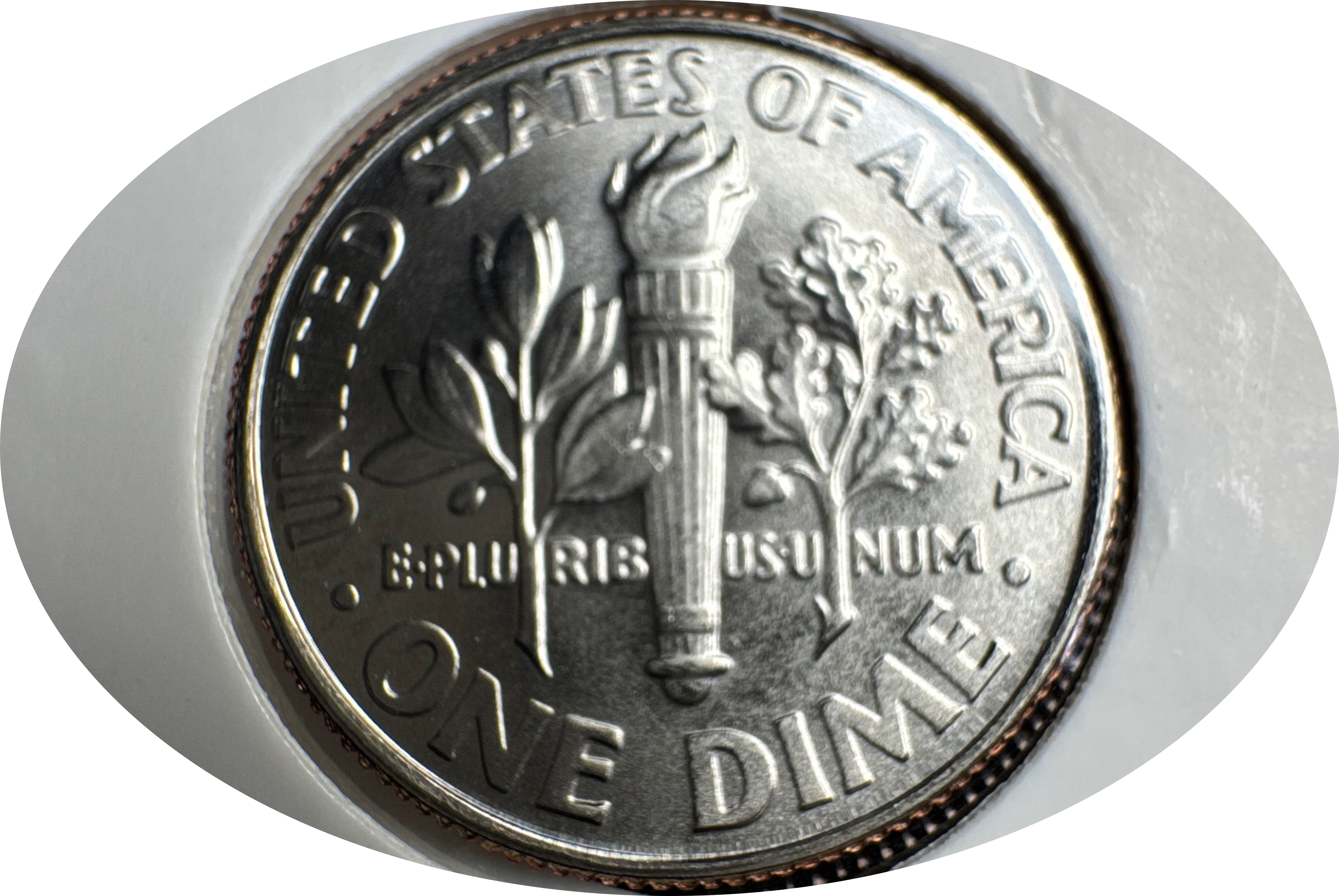 2005-P Roosevelt Dime Ungraded — back