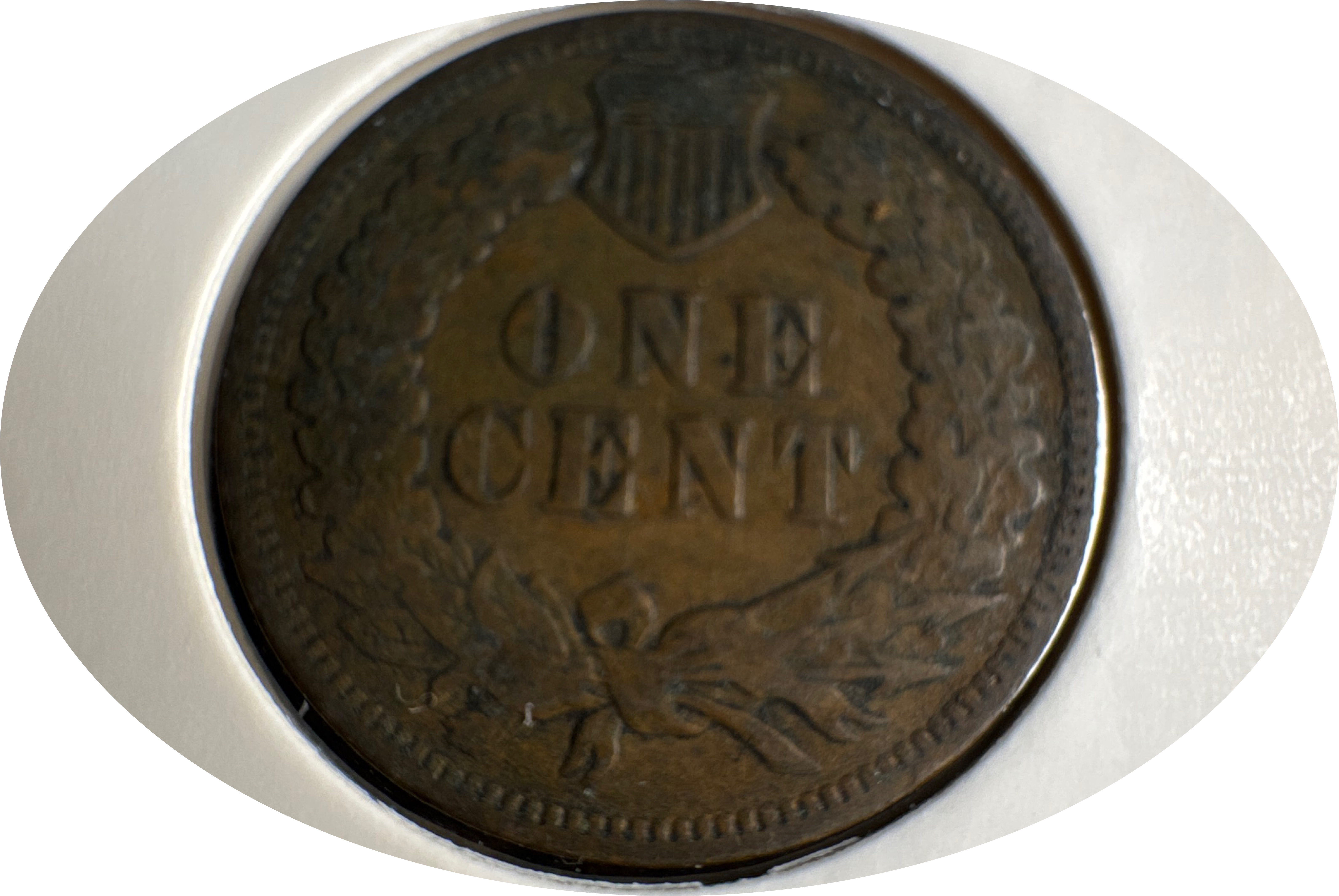 1903-P Indian Head Cent Ungraded — back