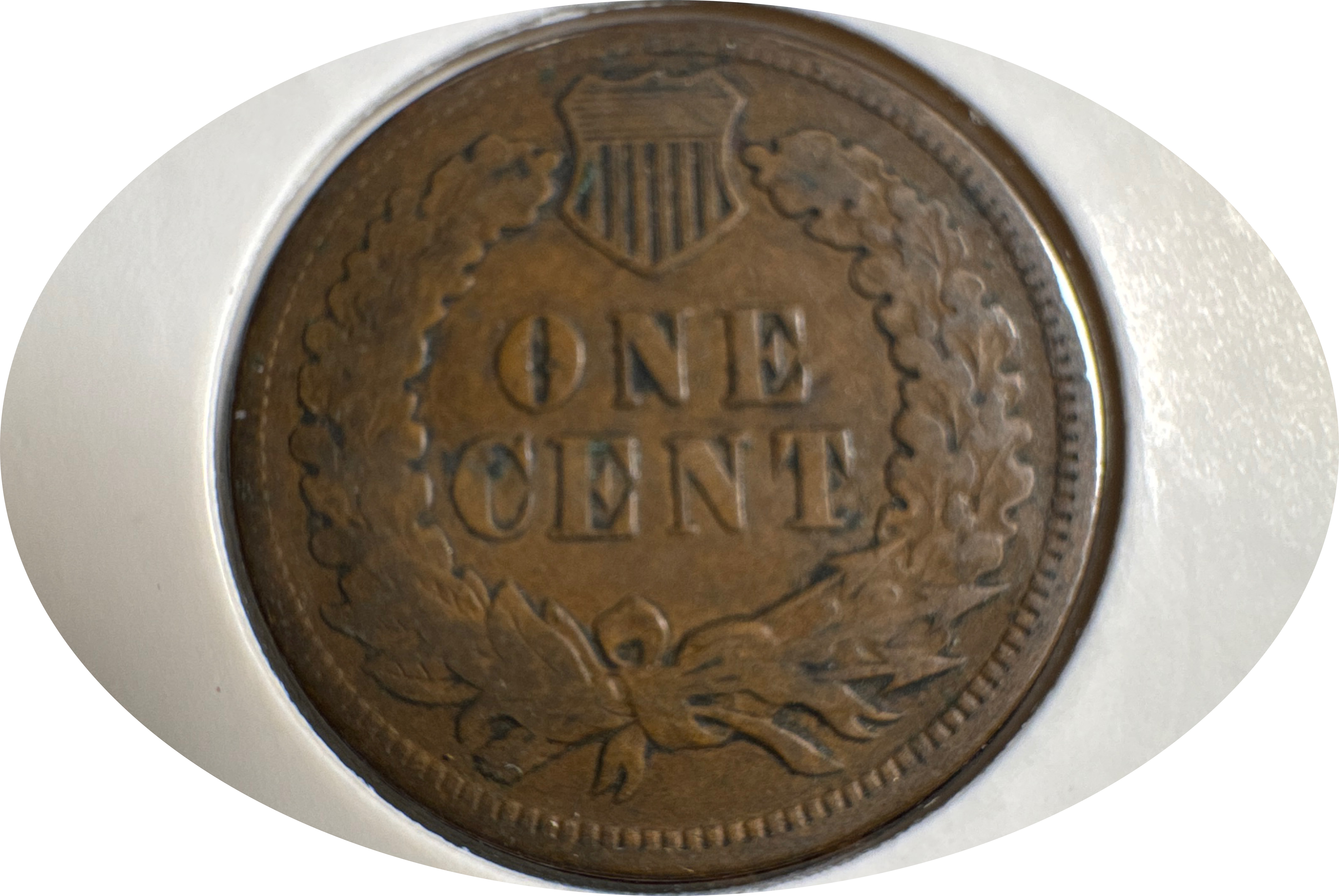 1905-P Indian Head Cent Ungraded — back