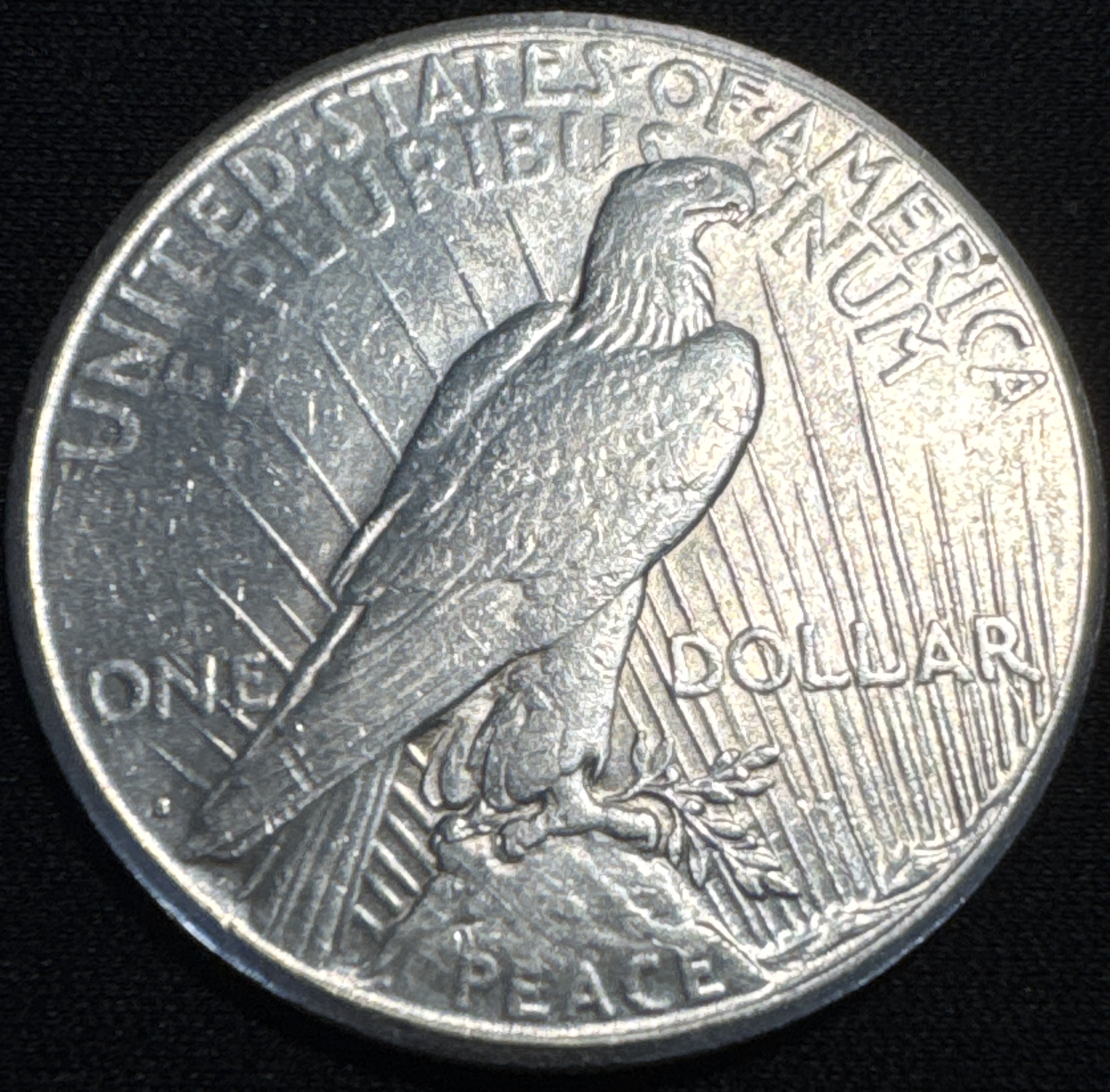 1924-S Peace Dollar Ungraded — back