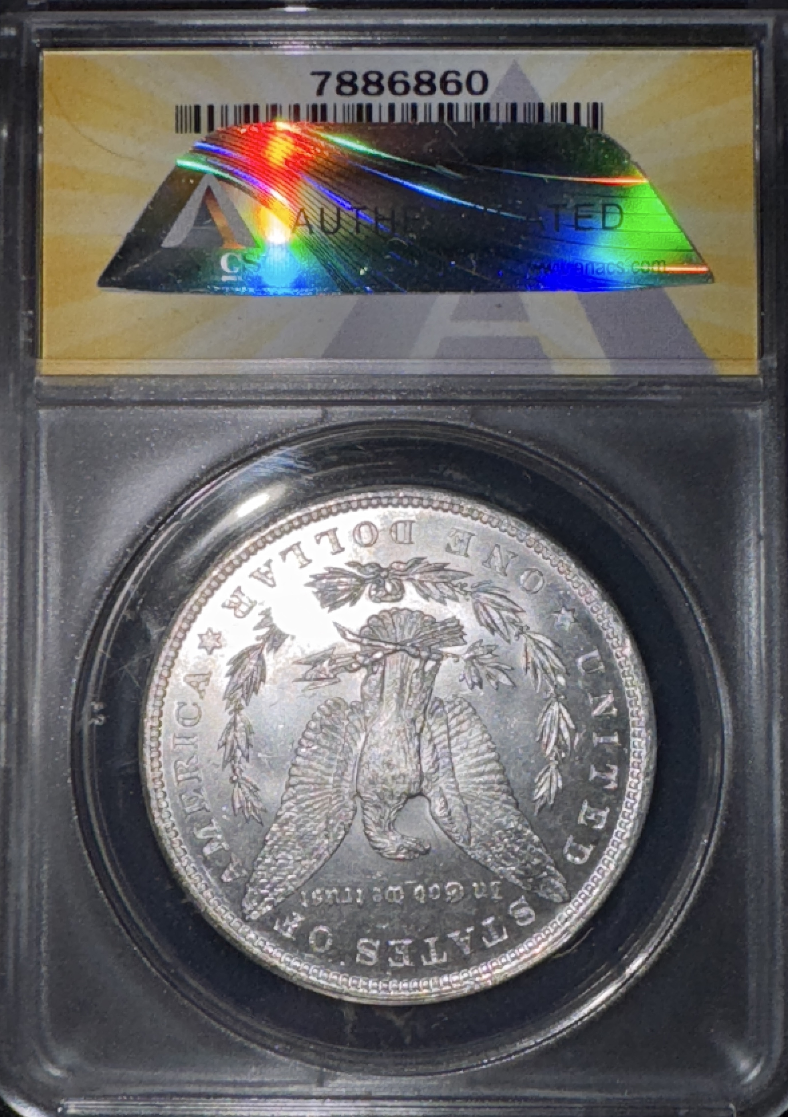 1881-P Morgan Dollar MS60 — back