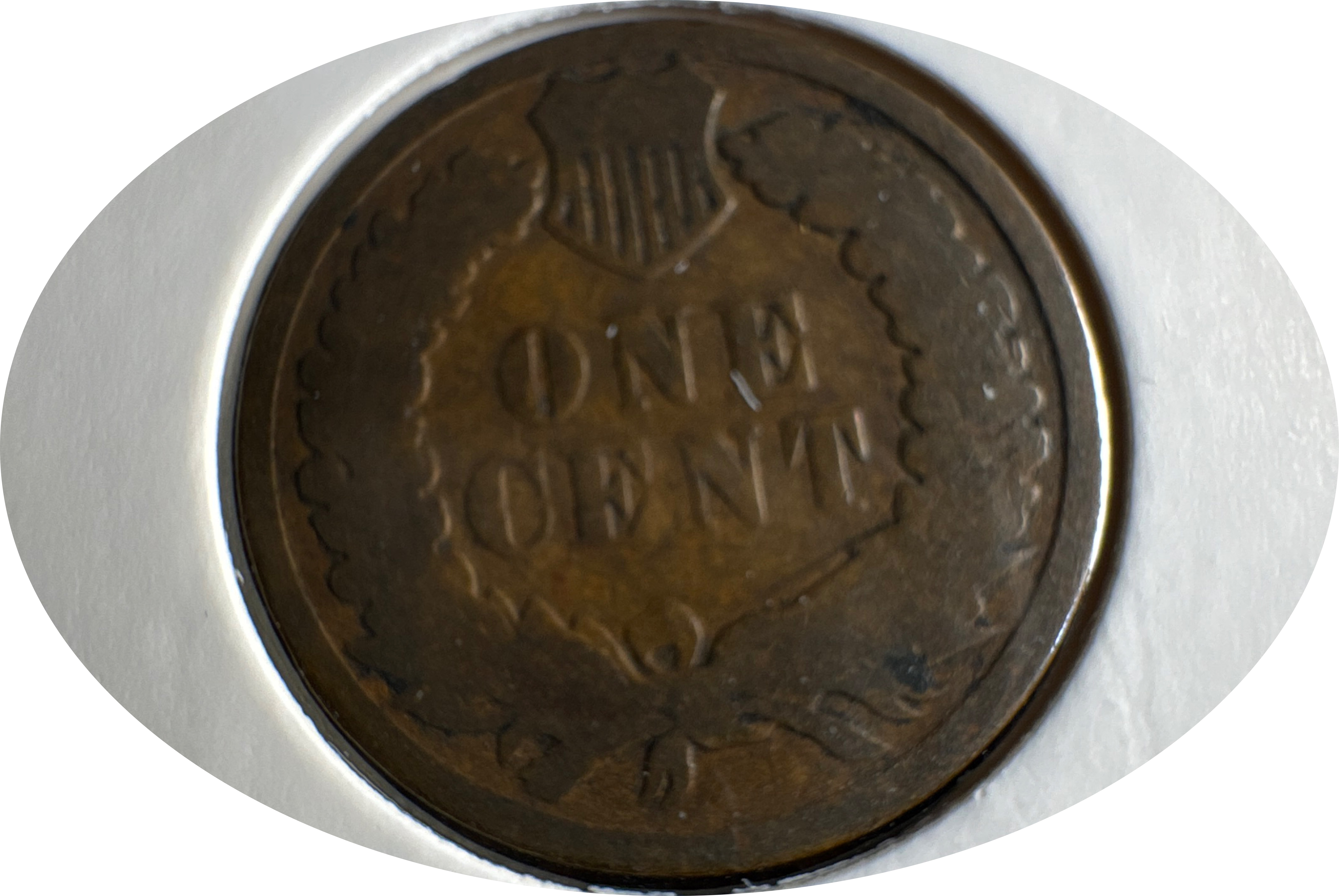 1882-P Indian Head Cent Ungraded — back