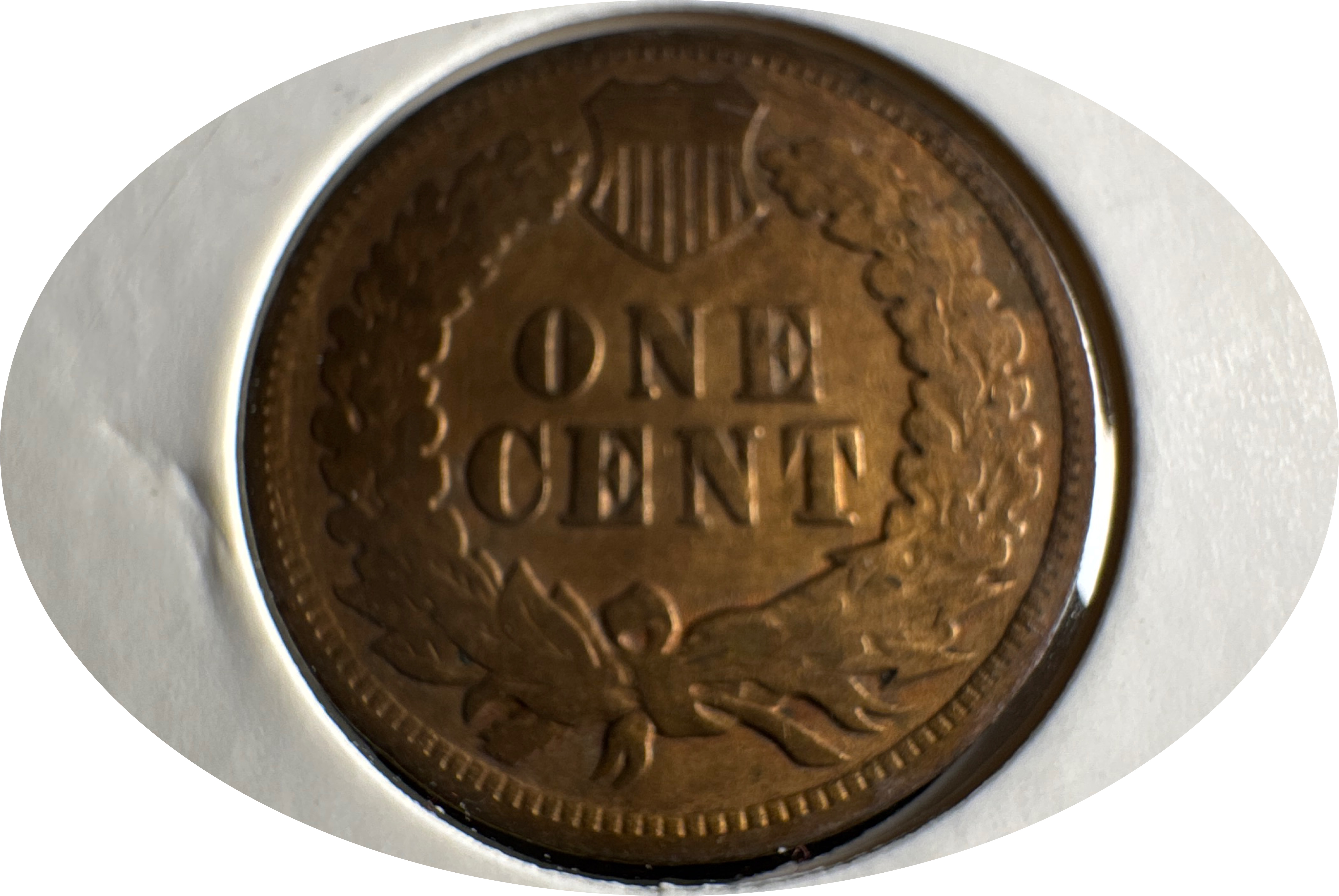 1903-P Indian Head Cent Ungraded — back