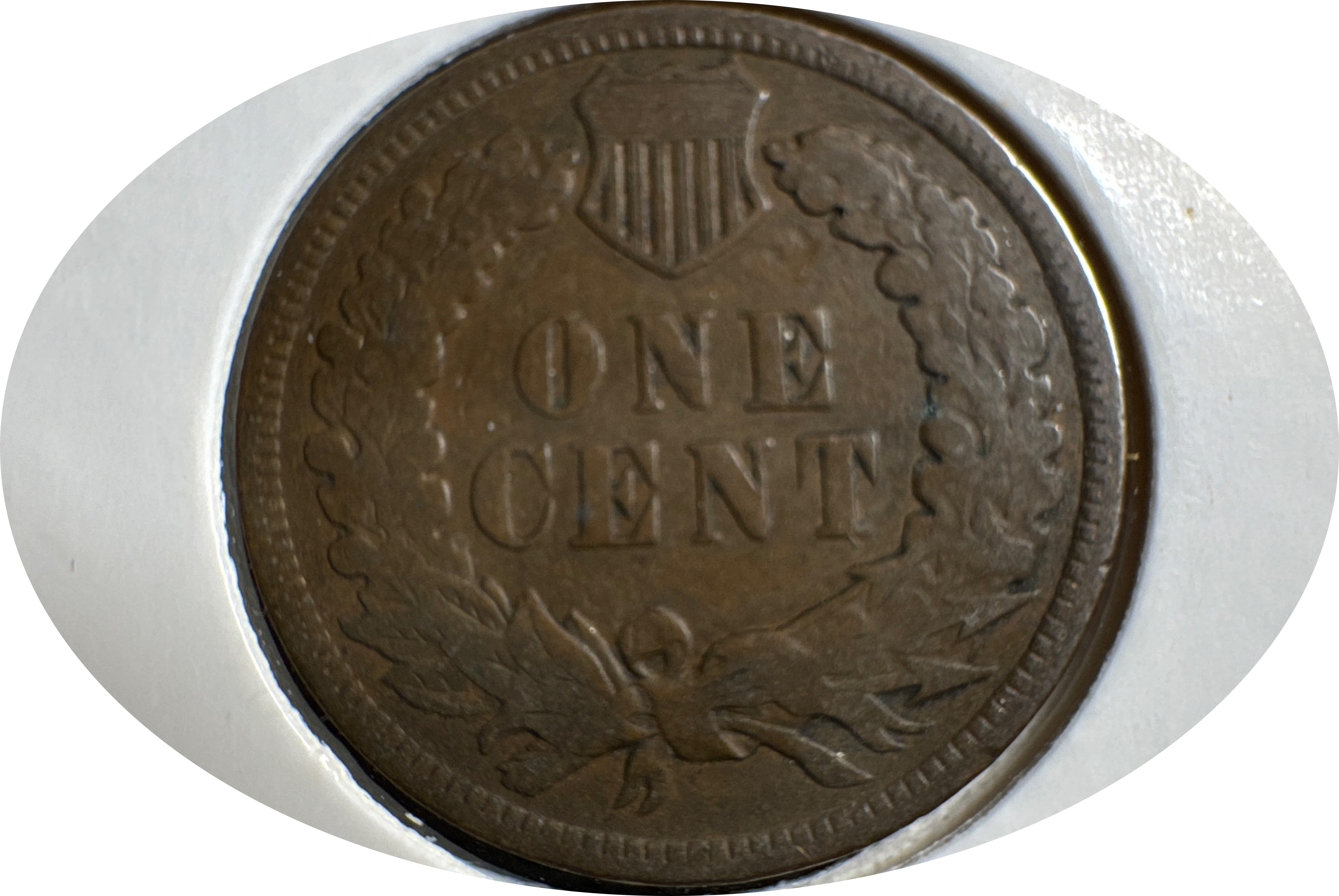 1906-P Indian Head Cent Ungraded — back
