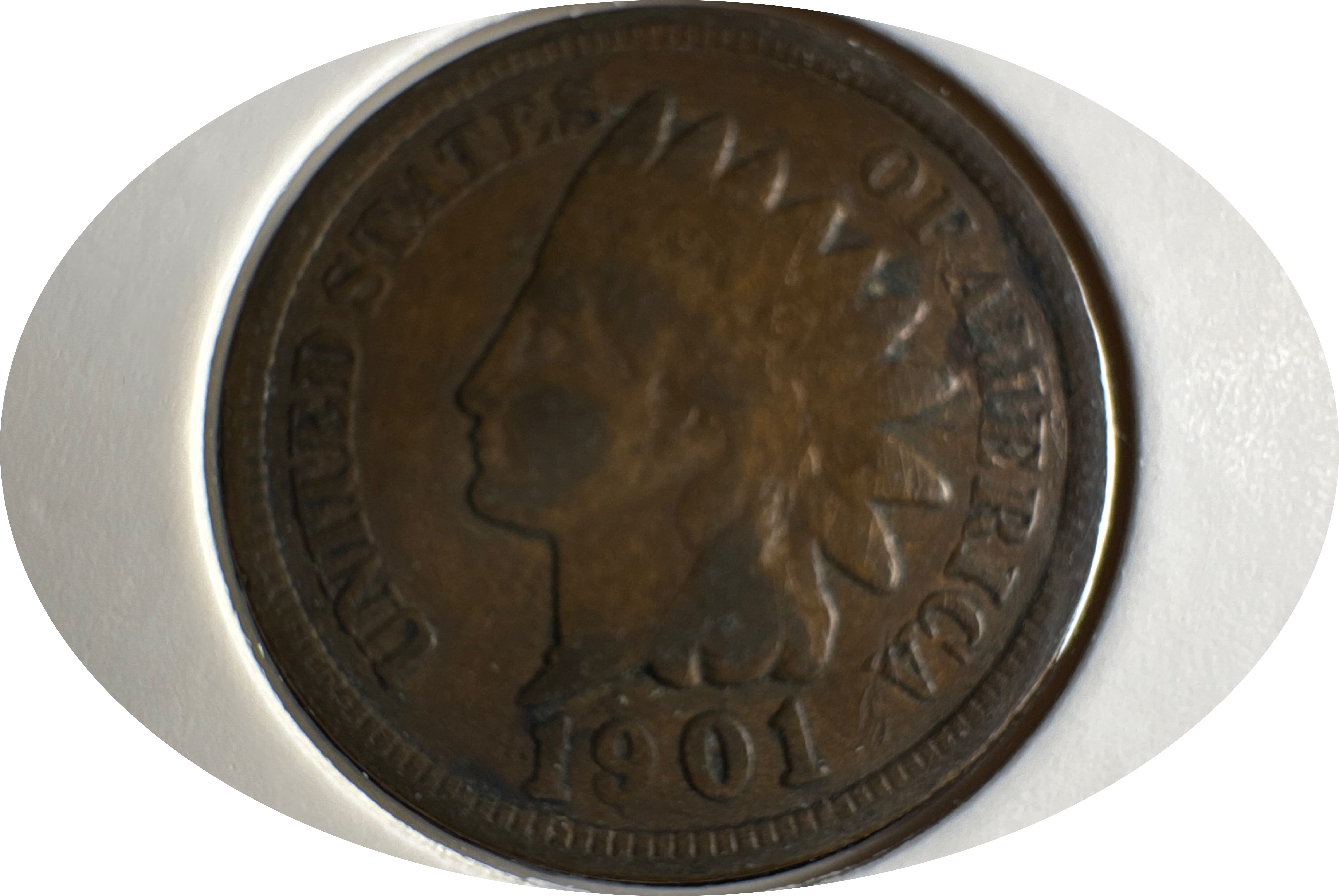 1901-P Indian Head Cent Ungraded