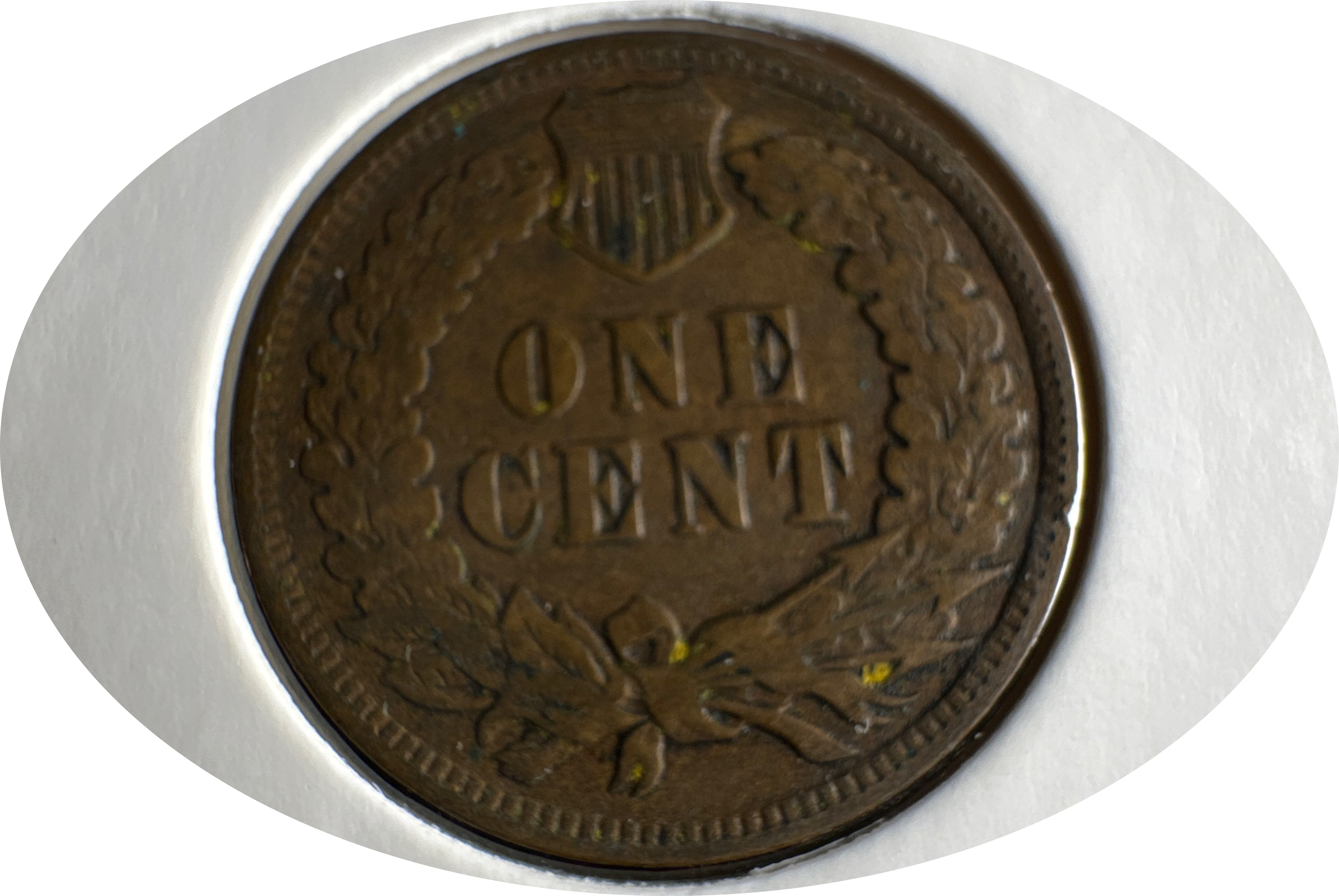 1902-P Indian Head Cent Ungraded — back