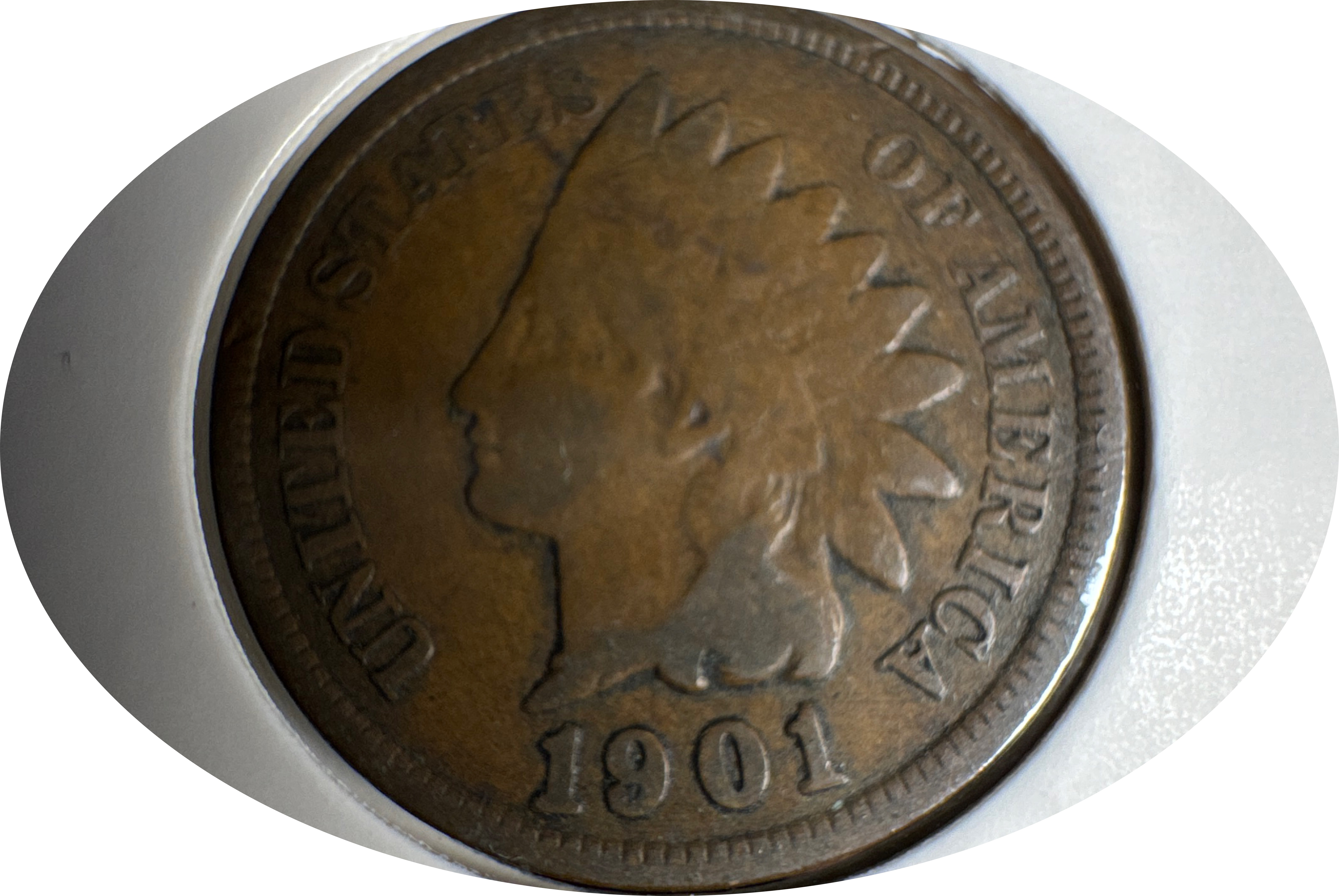 1901-P Indian Head Cent Ungraded