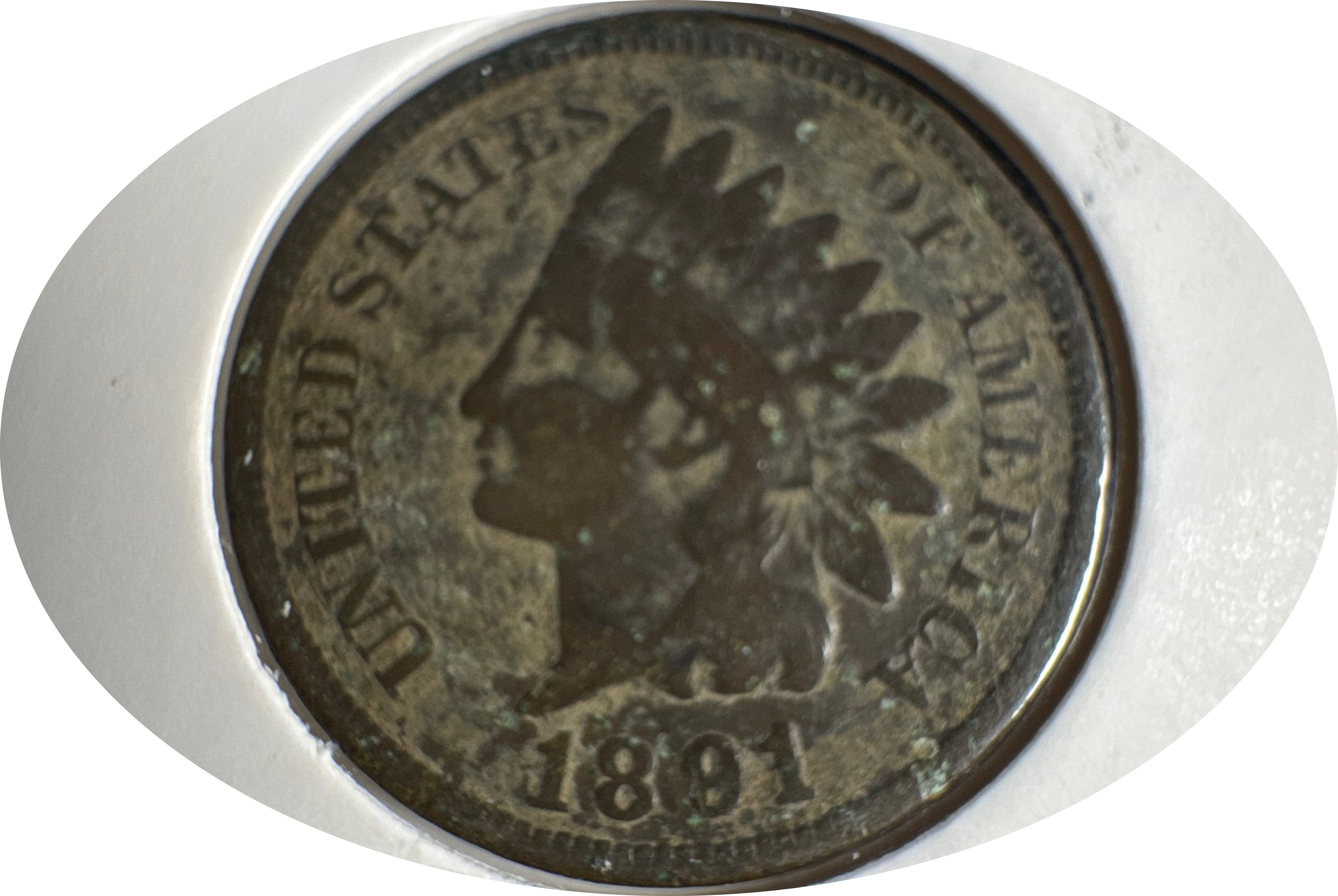1891-P Indian Head Cent Ungraded
