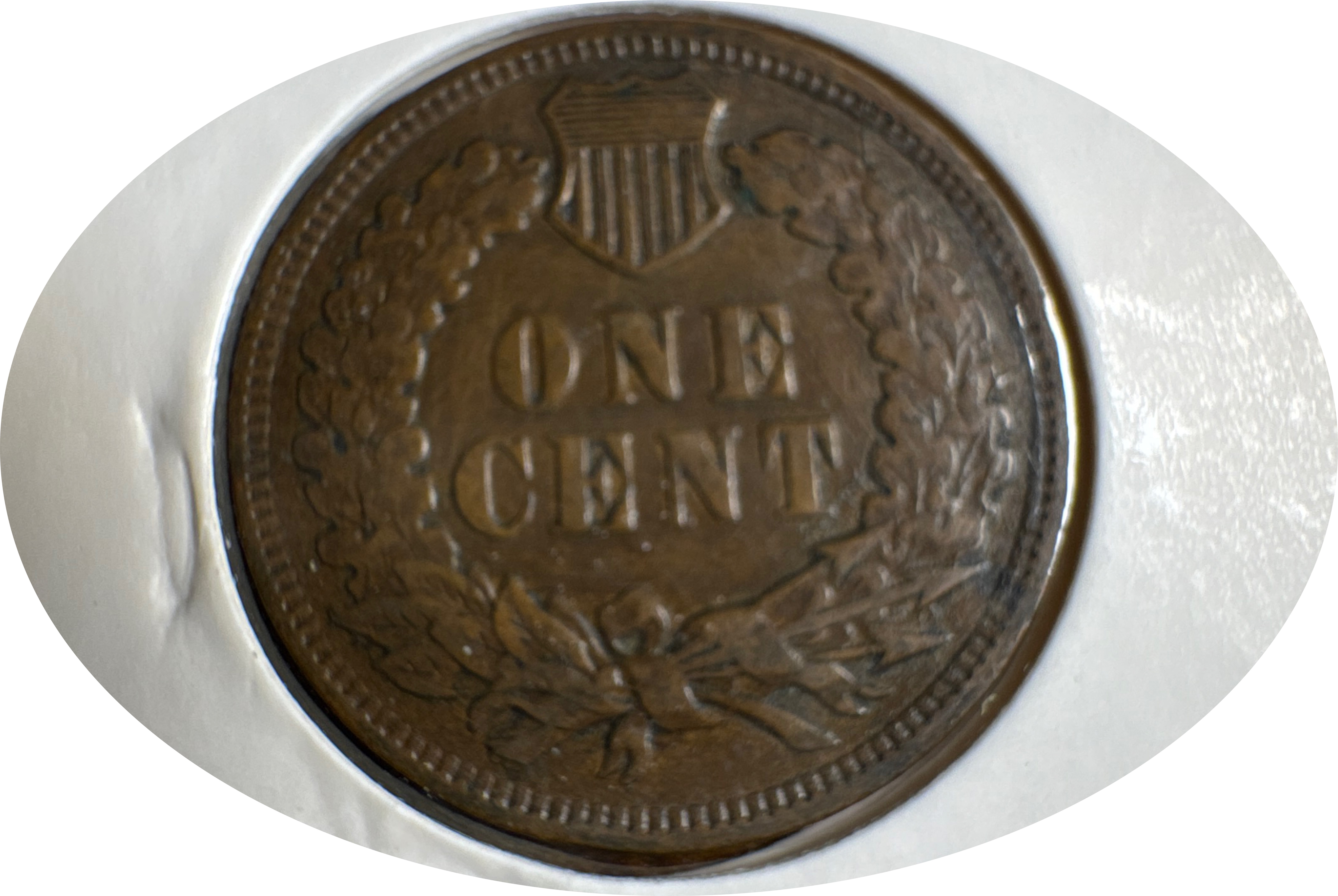 1906-P Indian Head Cent Ungraded — back
