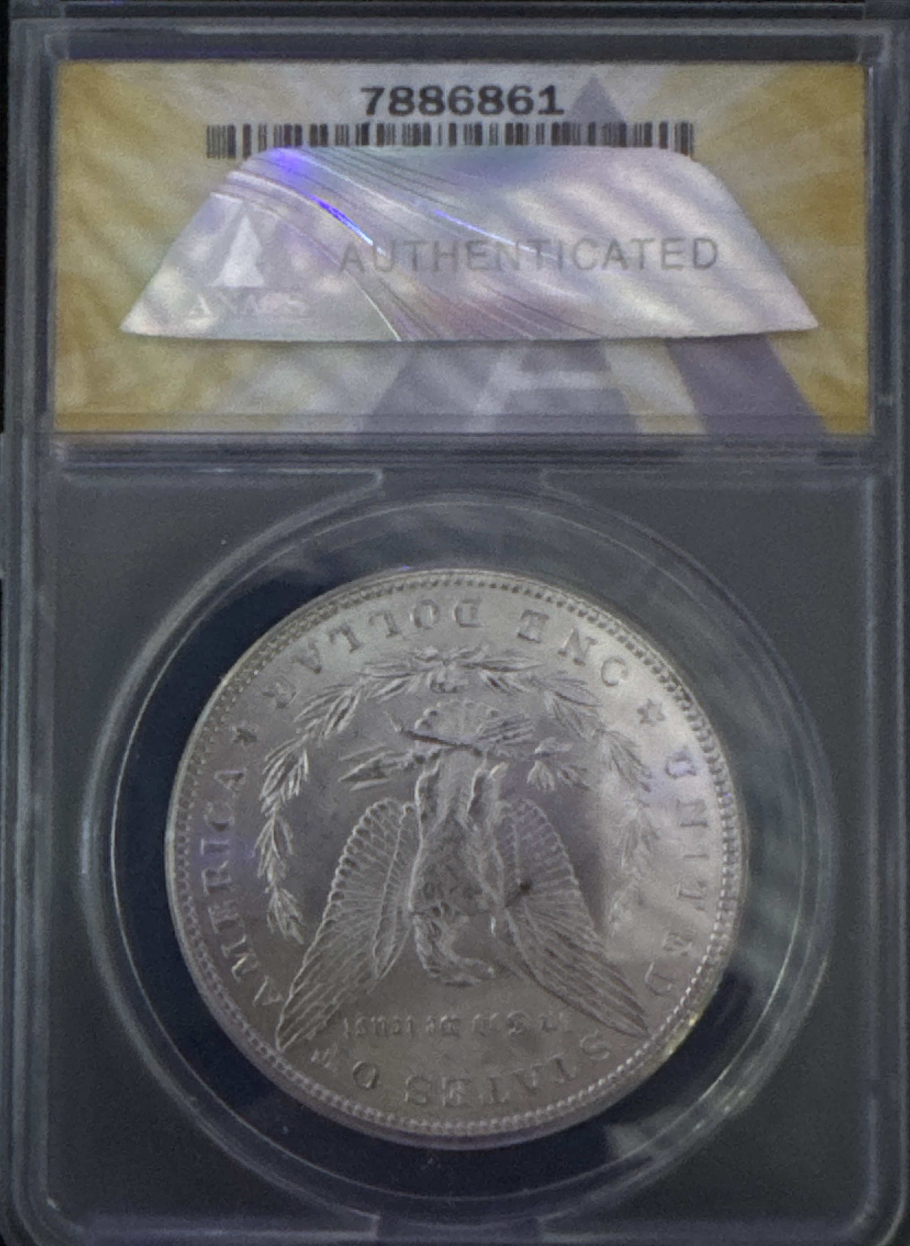 1882-P Morgan Dollar MS62 — back