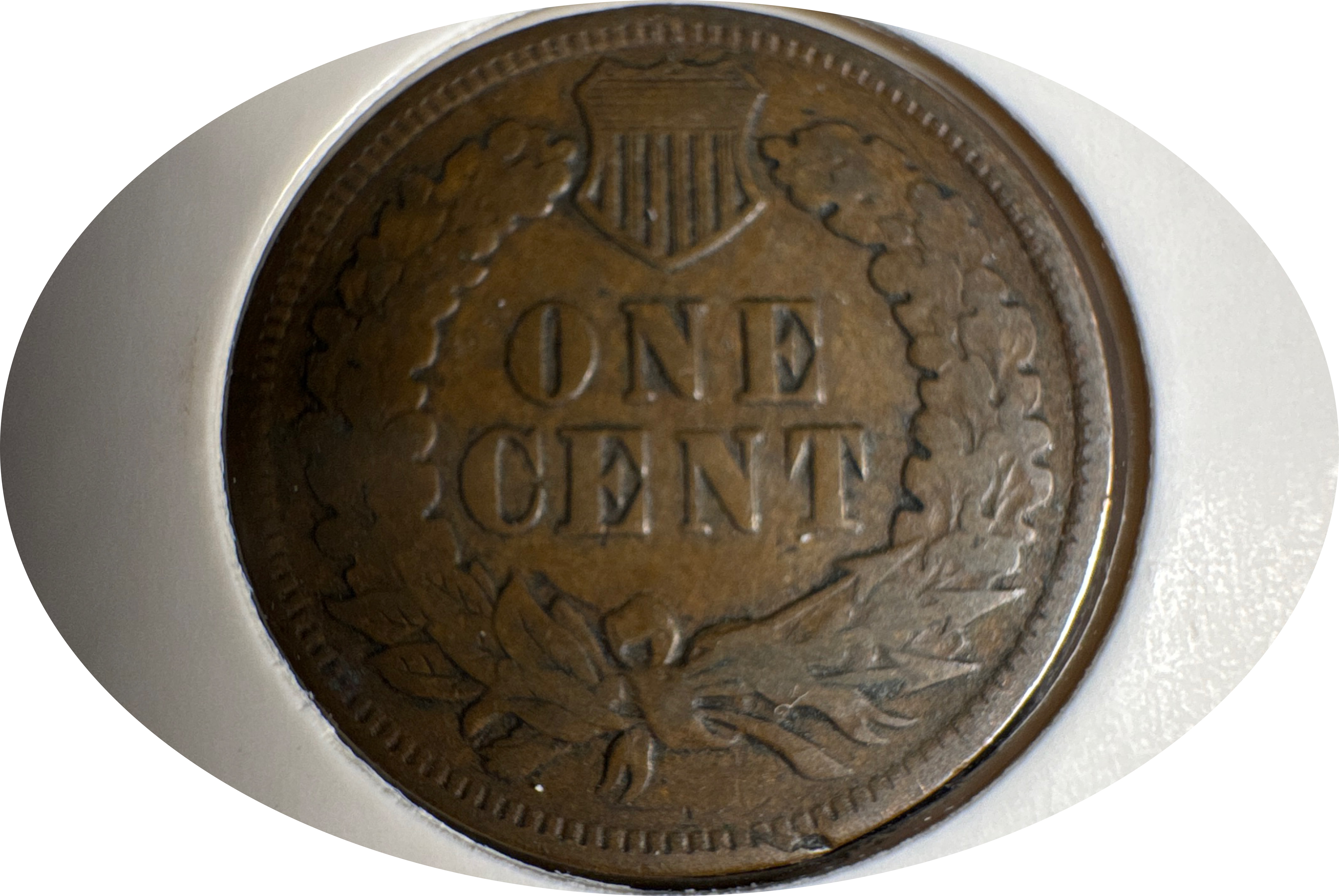 1901-P Indian Head Cent Ungraded — back