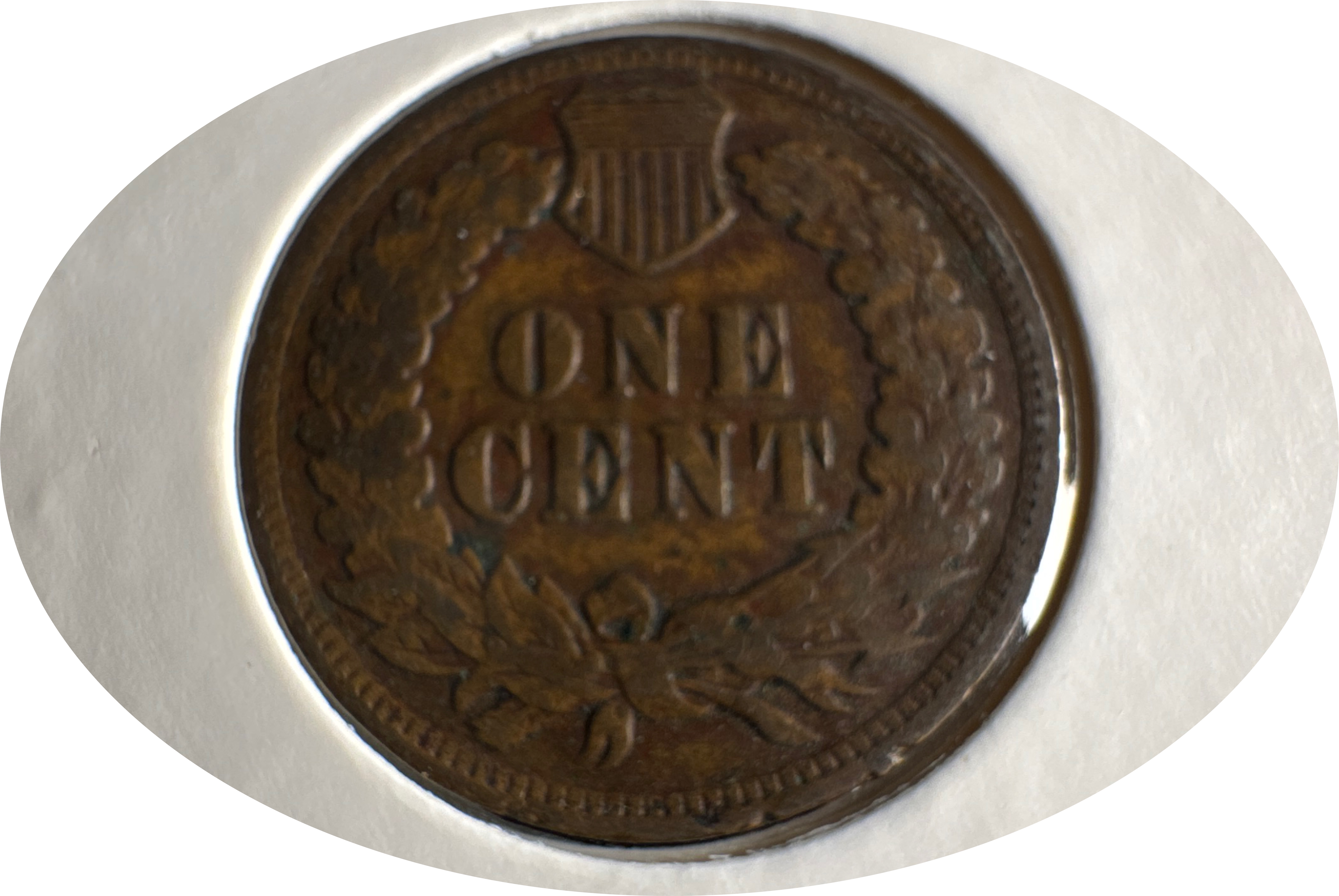 1903-P Indian Head Cent Ungraded — back