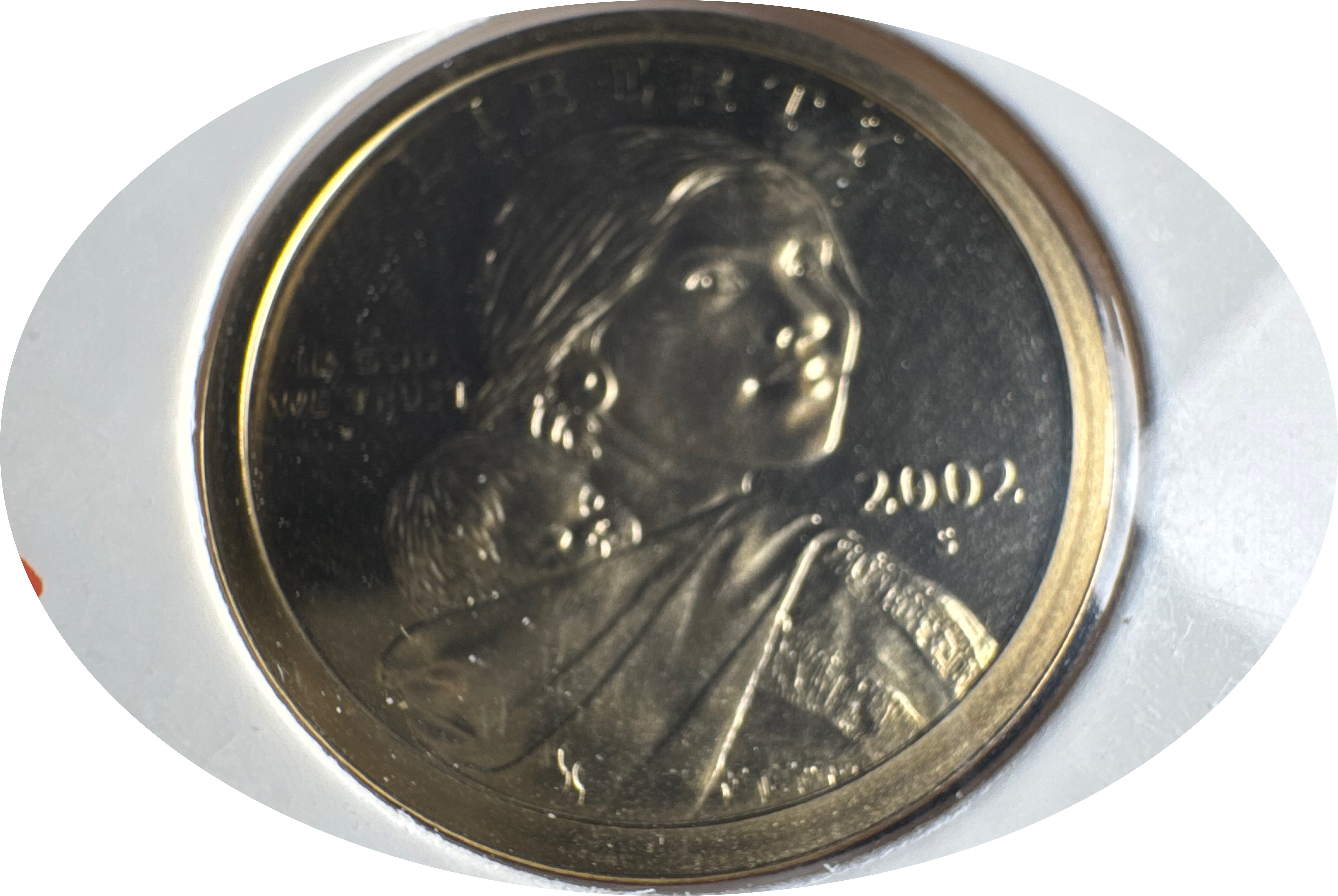 2002-S Sacagawea Dollar Ungraded