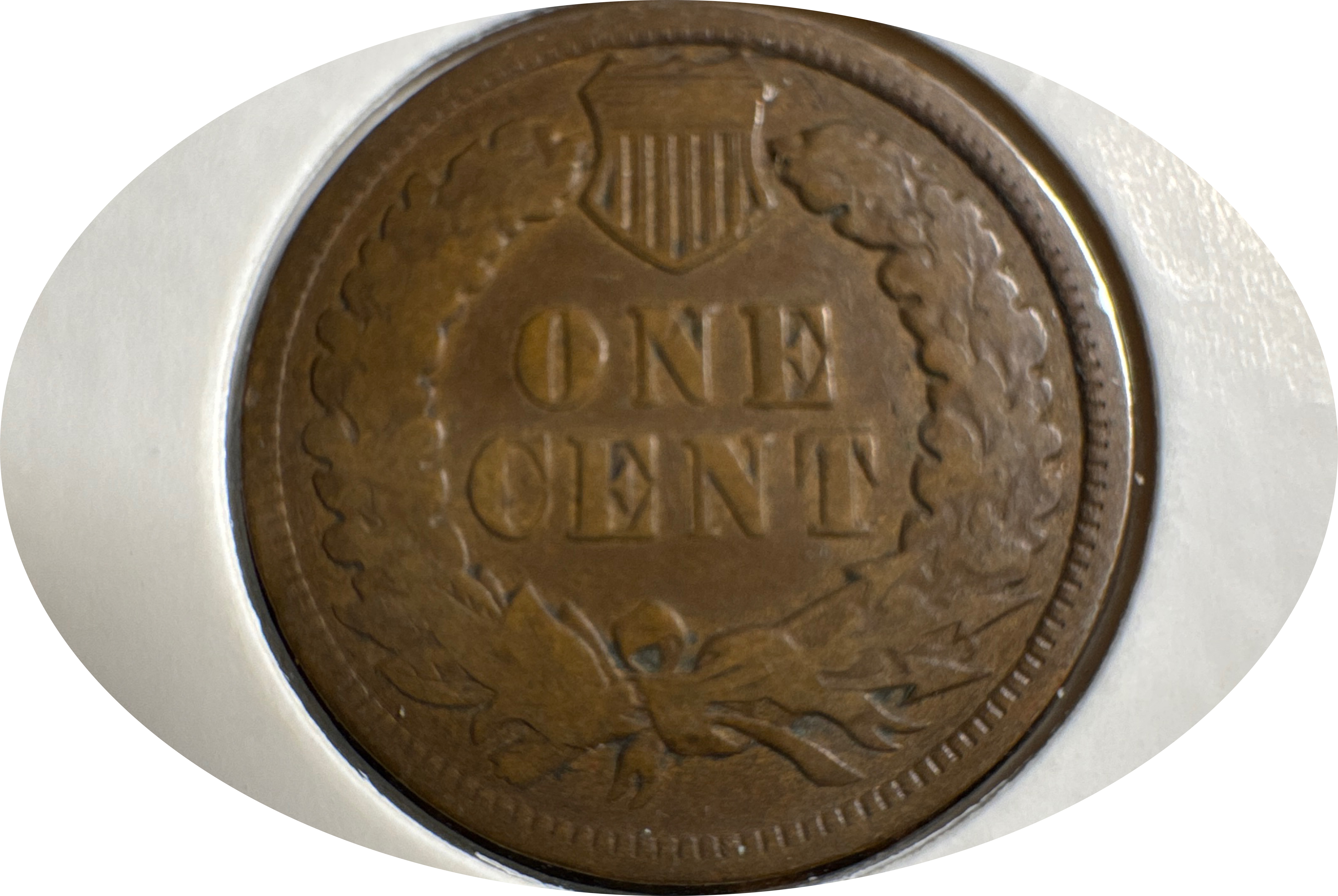 1906-P Indian Head Cent Ungraded — back