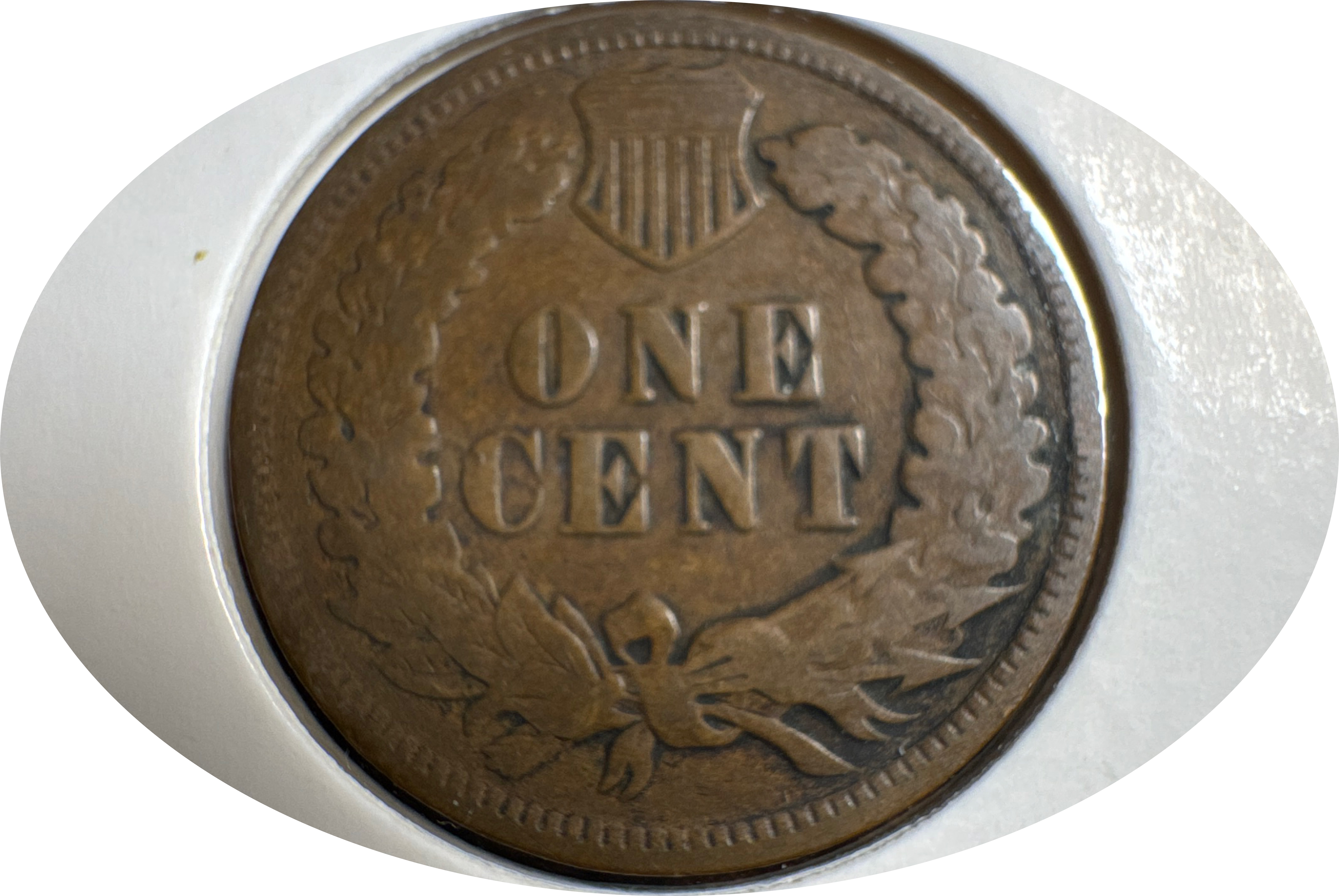 1904-P Indian Head Cent Ungraded — back